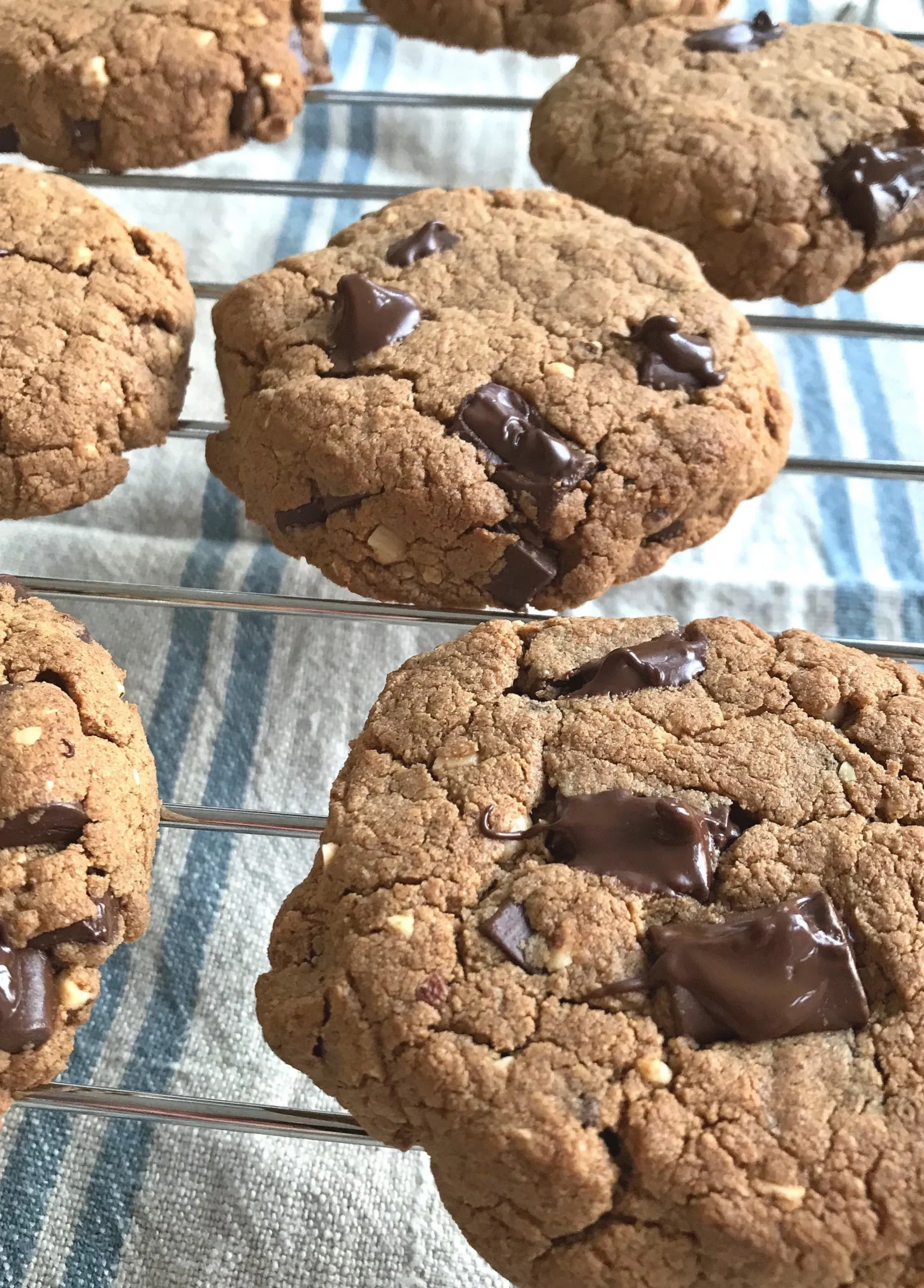 Almond Butter Chocolate Chunk Protein