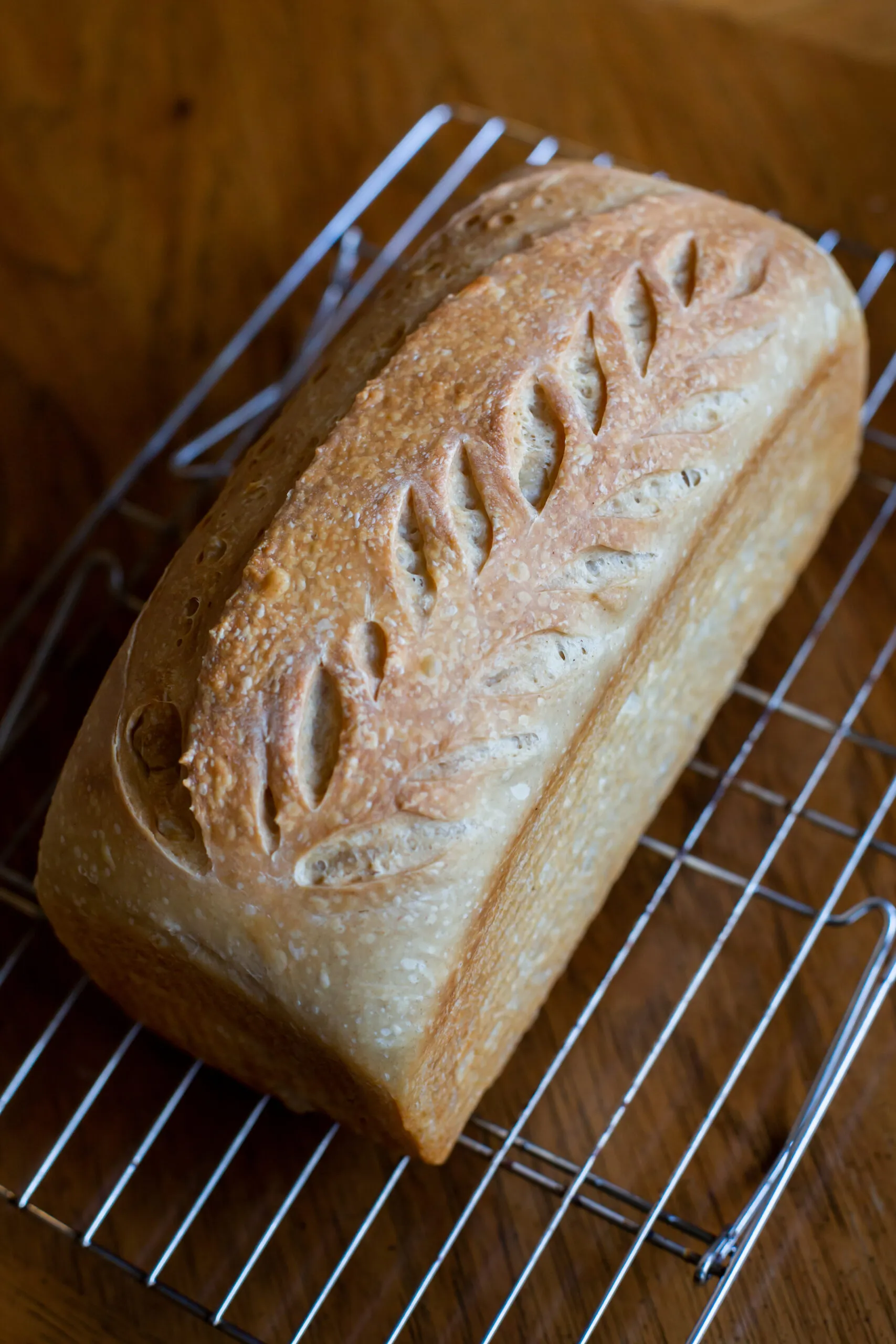 Amazing Soft Sourdough Sandwich Bread