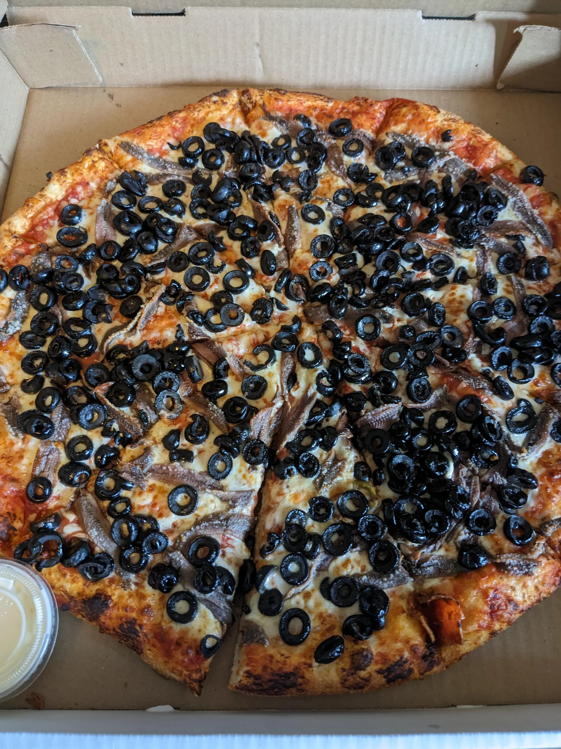 Anchovy and Olive Pizza