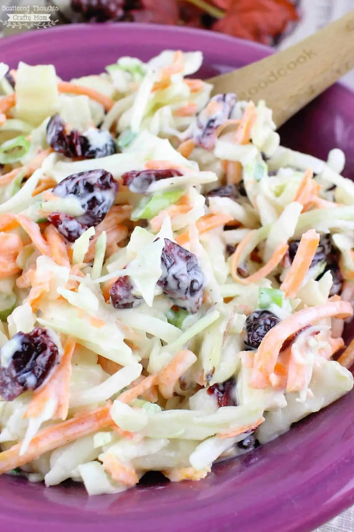 Apple Pear and Cranberry Coleslaw
