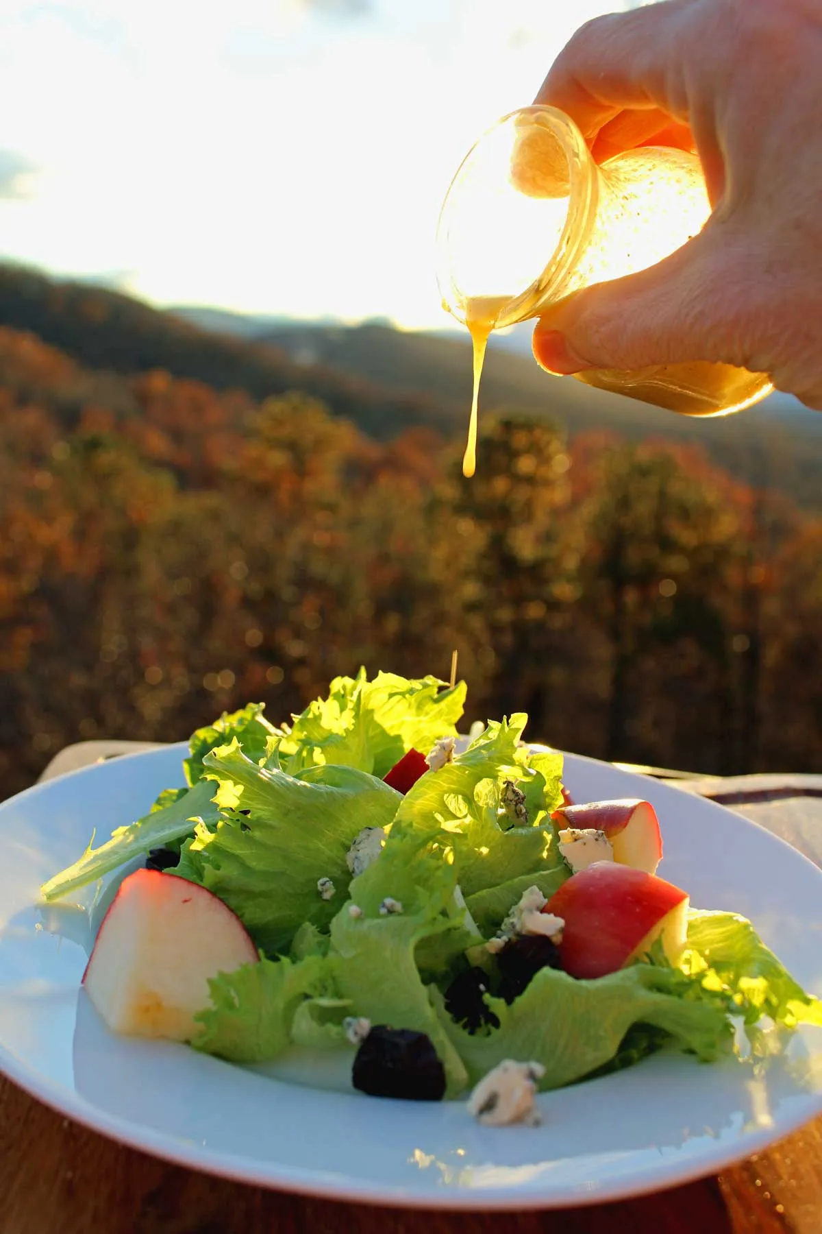 Apple Pecan and Blue Cheese Salad with Dried Cherries