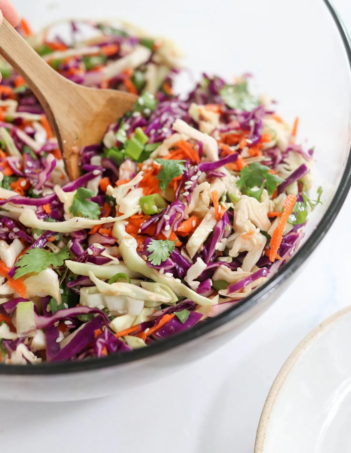 Asian Cabbage and Cranberry Coleslaw