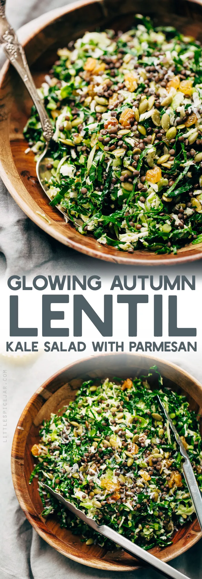 Autumn Lentil Kale Salad with Parmesan