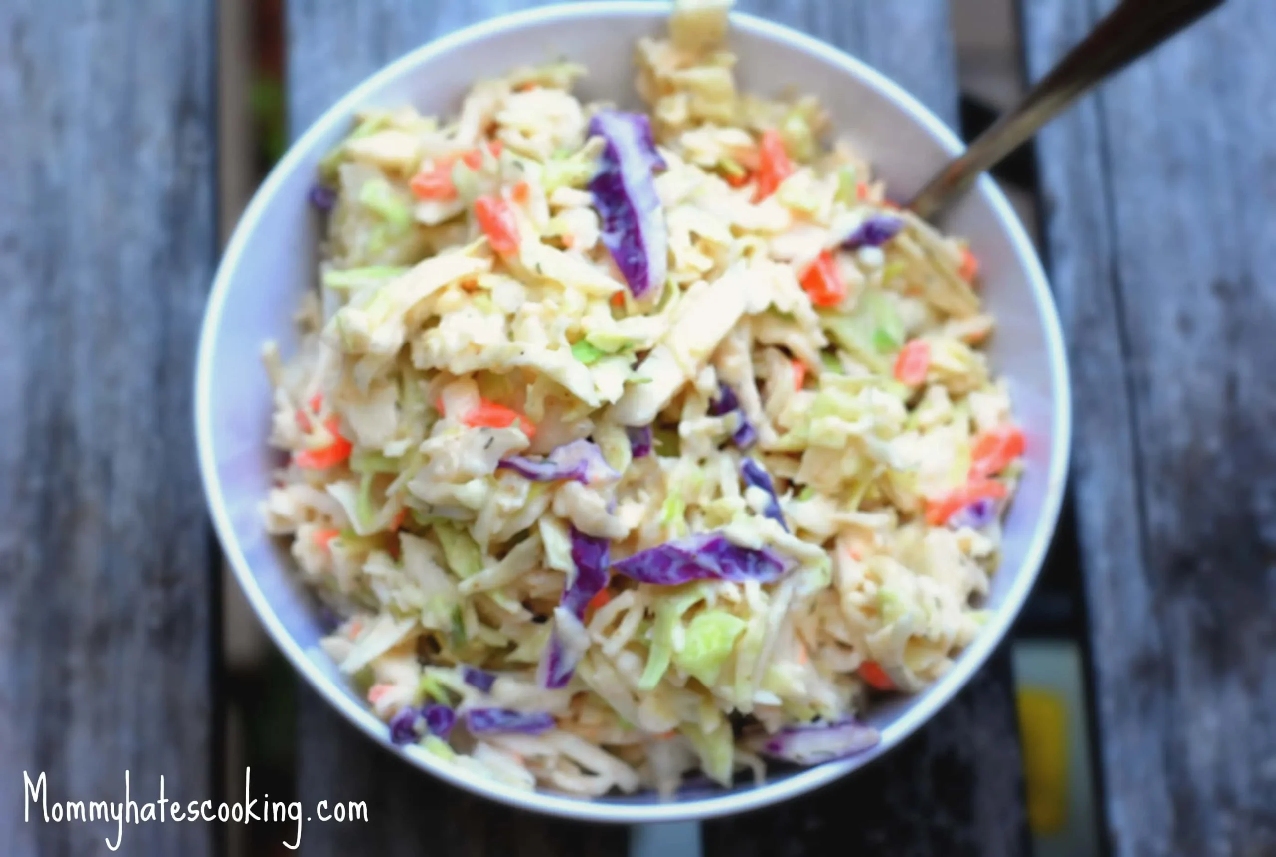 BBQ Spice Homemade Coleslaw