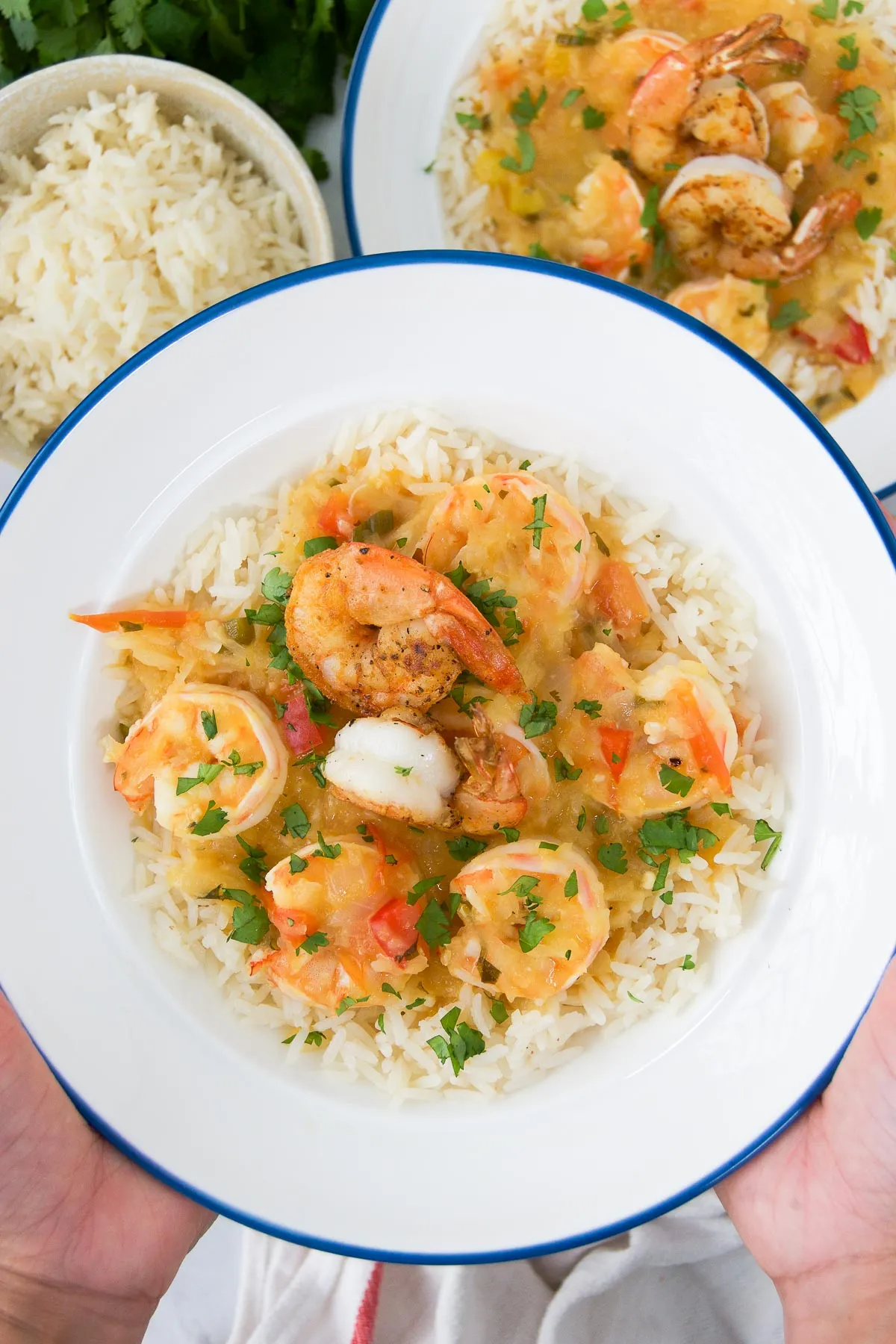 Bahia's Culinary Treasure: Bobo de Camarão (Brazilian Shrimp Stew)