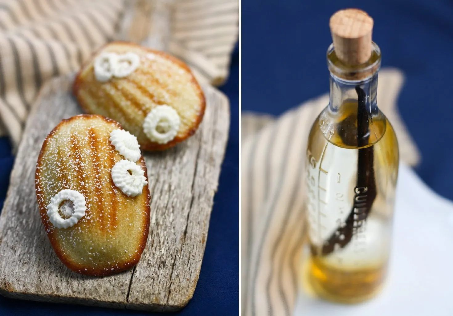 Barnacled Madeleines with Salted Light