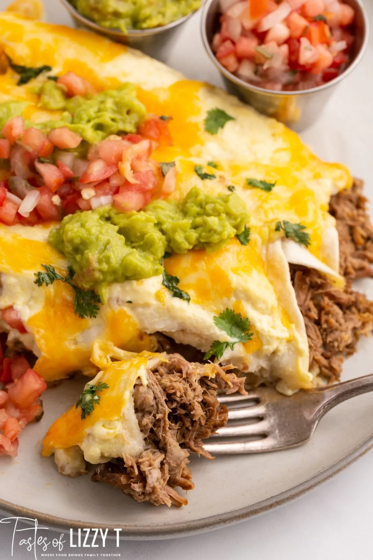 Beef Enchiladas with Roasted Tomatillo