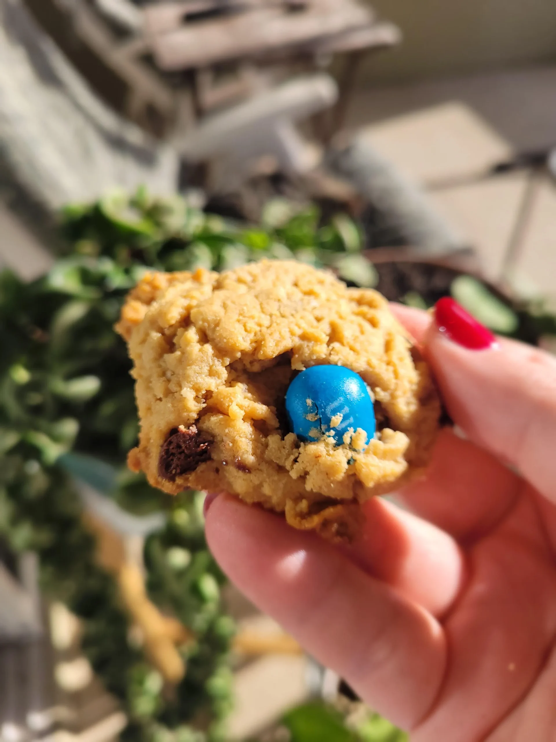 Beware These Are Dangerous Ly Good Monster Cookies