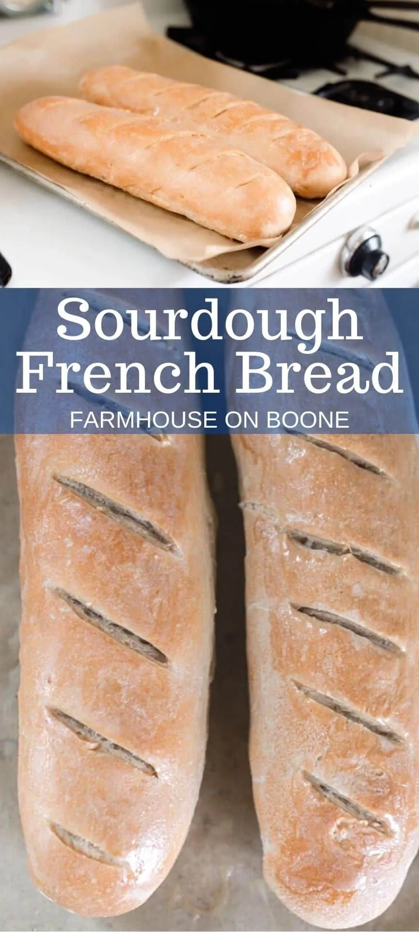 Bill's Sourdough French Bread