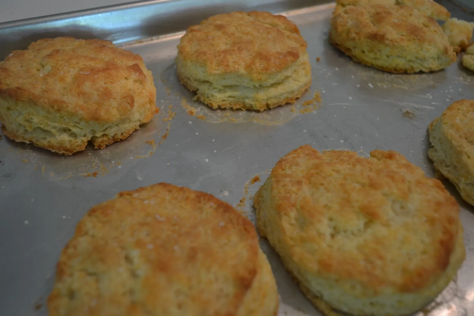 Biscuits Tupelo Honey Ginormous