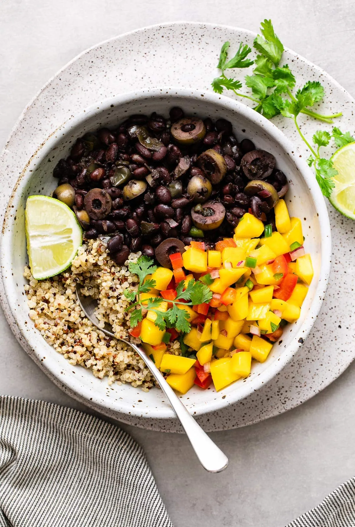 Black Bean Mango Quinoa