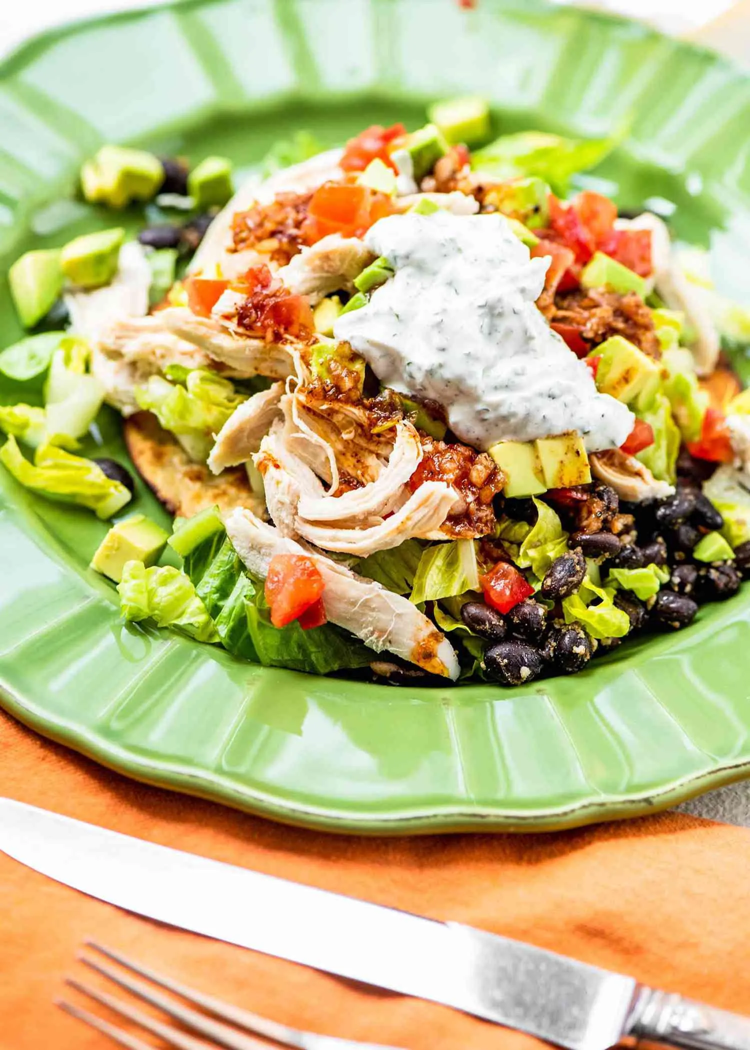 Black Bean and Roasted Chicken Tostada