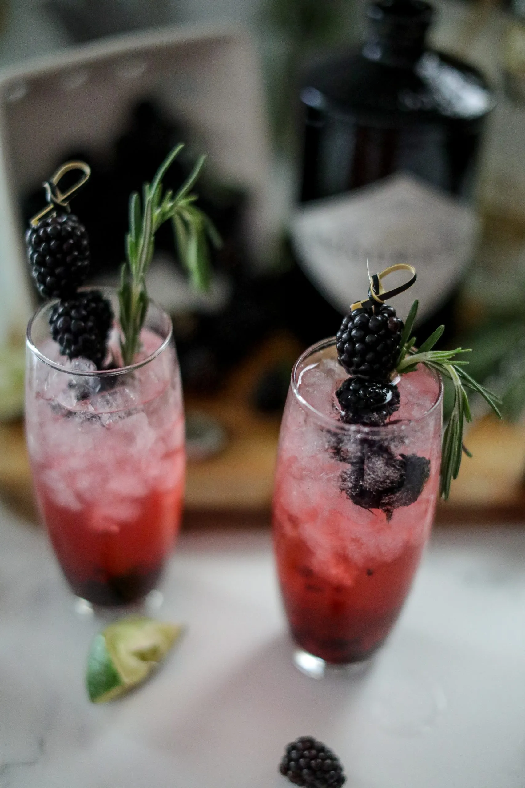 Blackberry Gin and Tonic