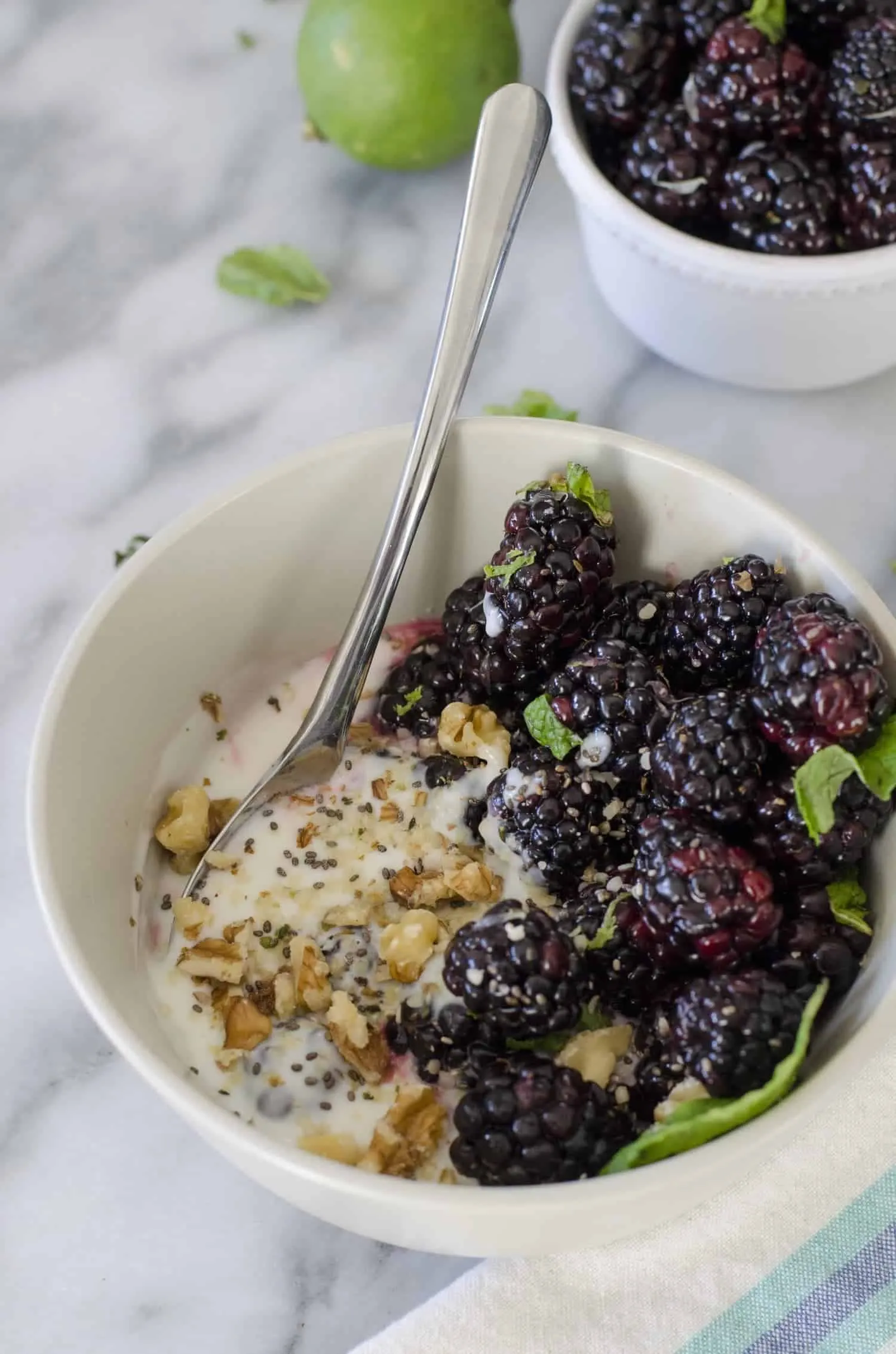 Blackberry Greek Yogurt Bowl