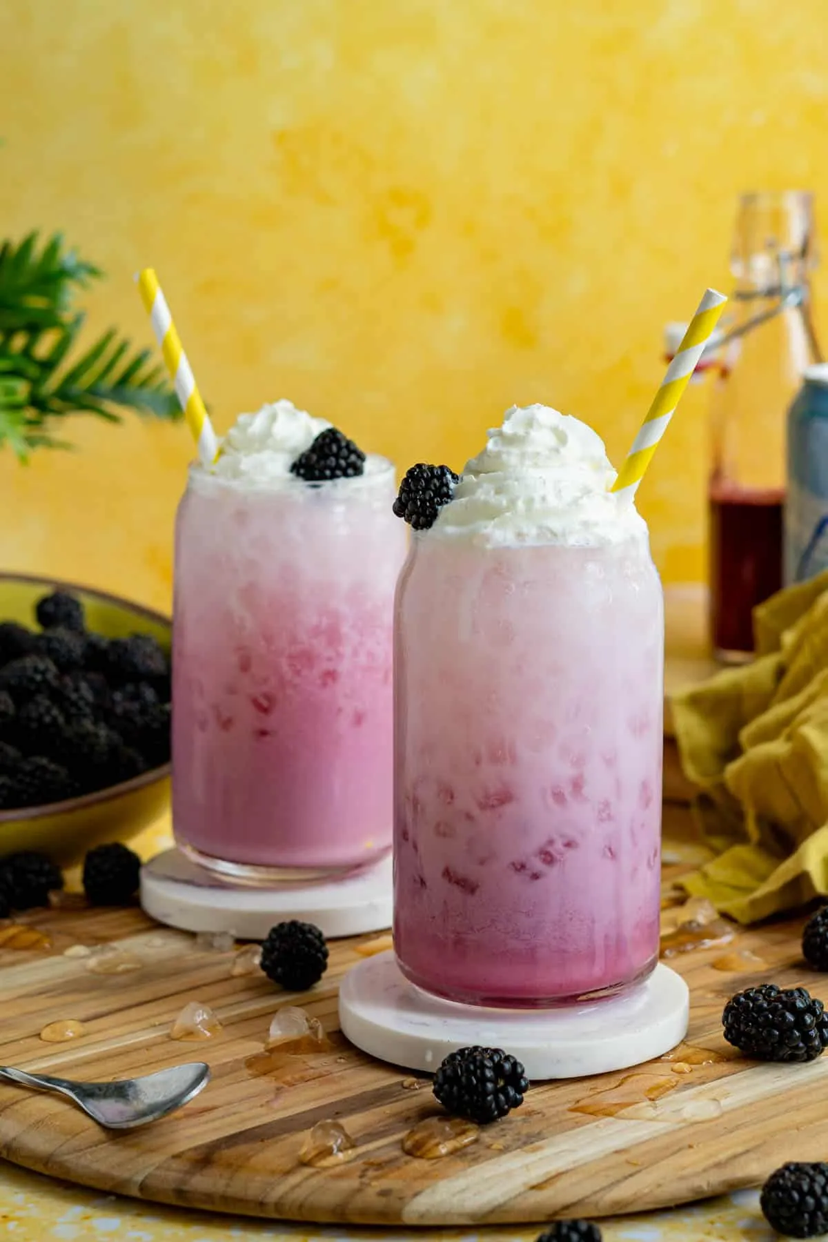 Blackberry Vanilla Italian Soda