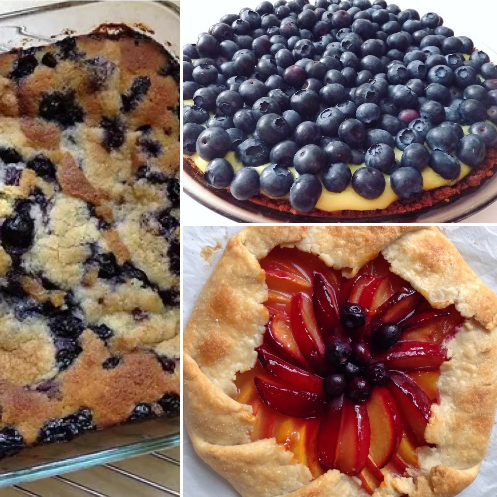 Blueberries Galore Two for One