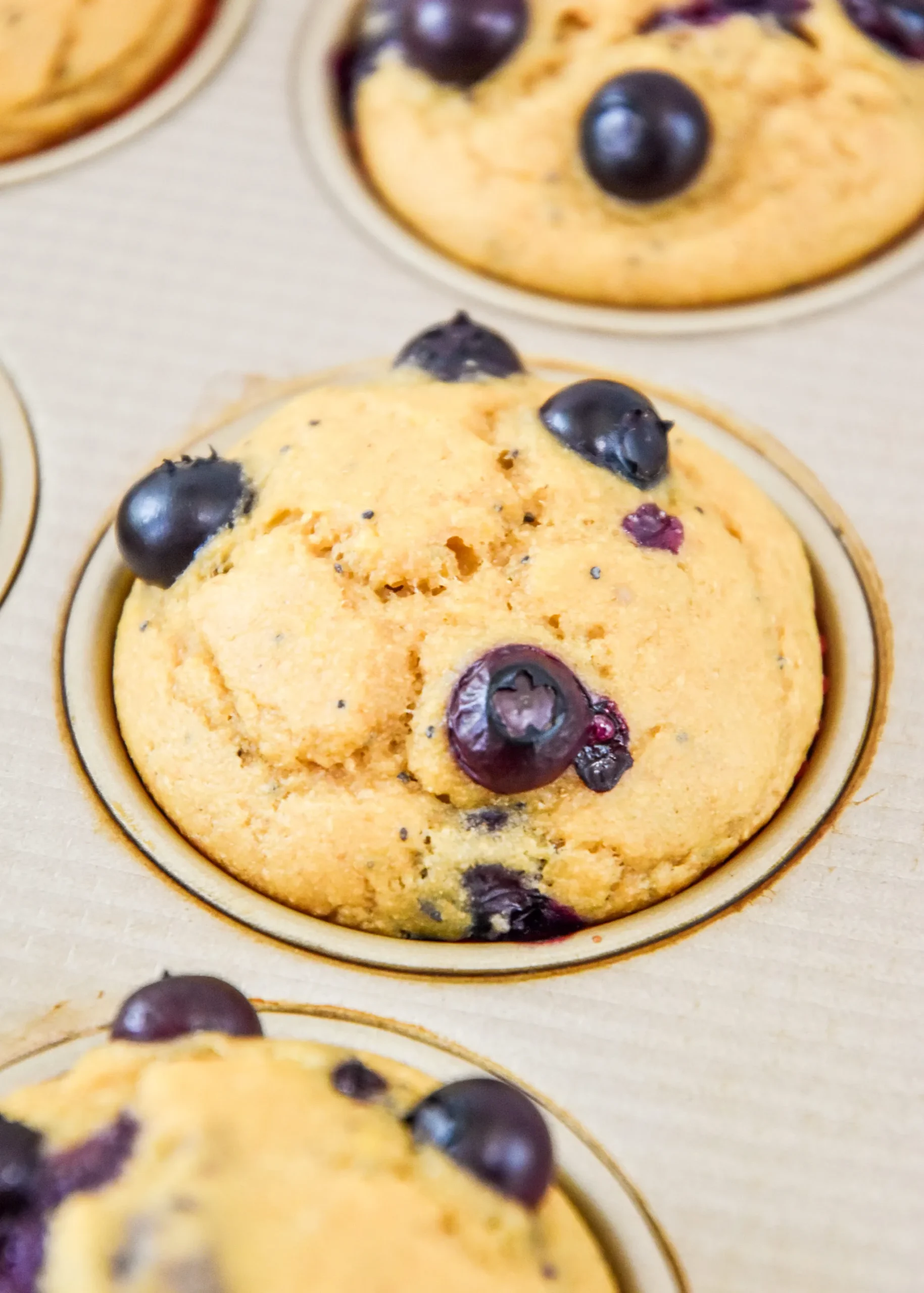 Blueberry Pancakes from a Muffin Mix