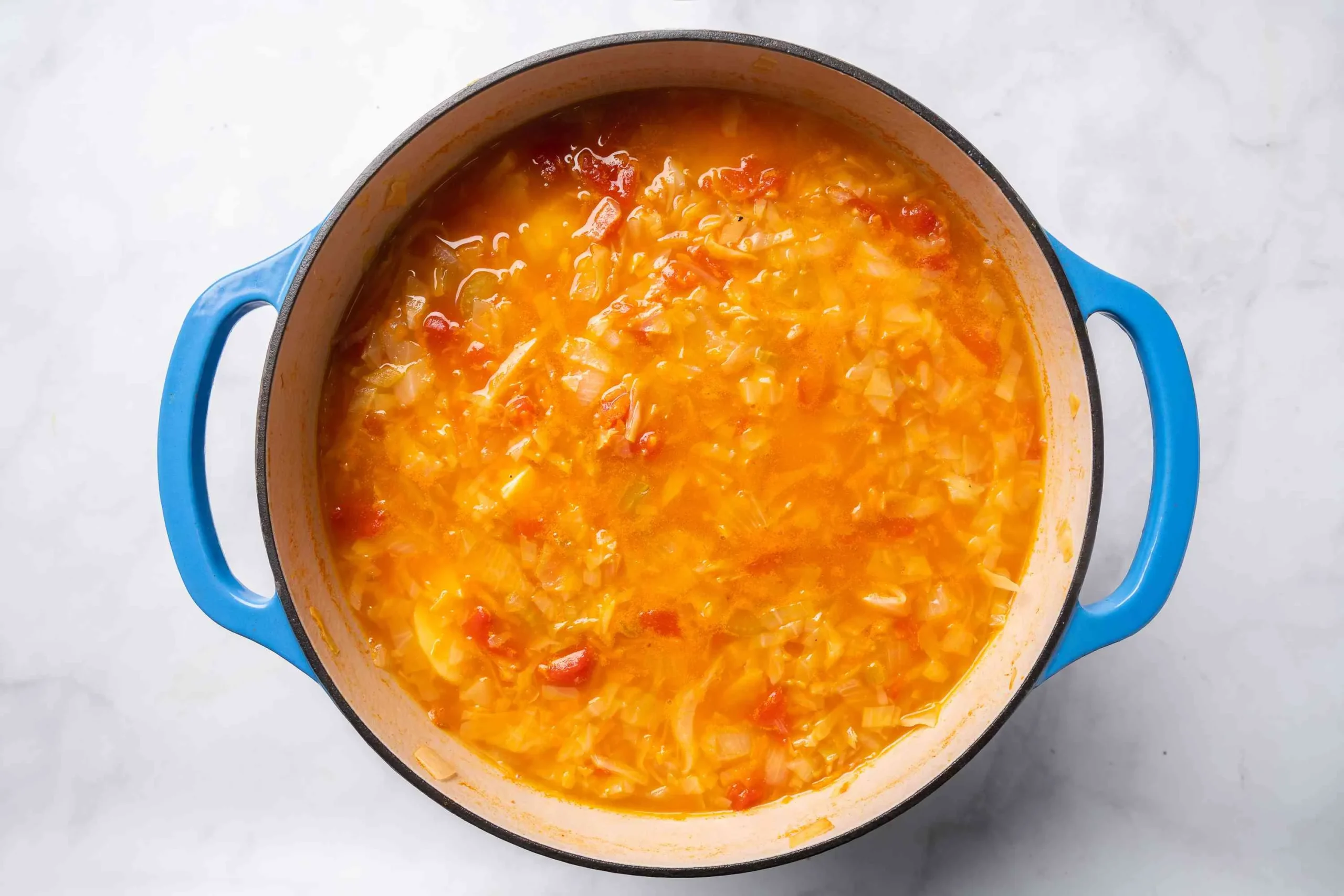 Cabbage Soup Russian Shchi