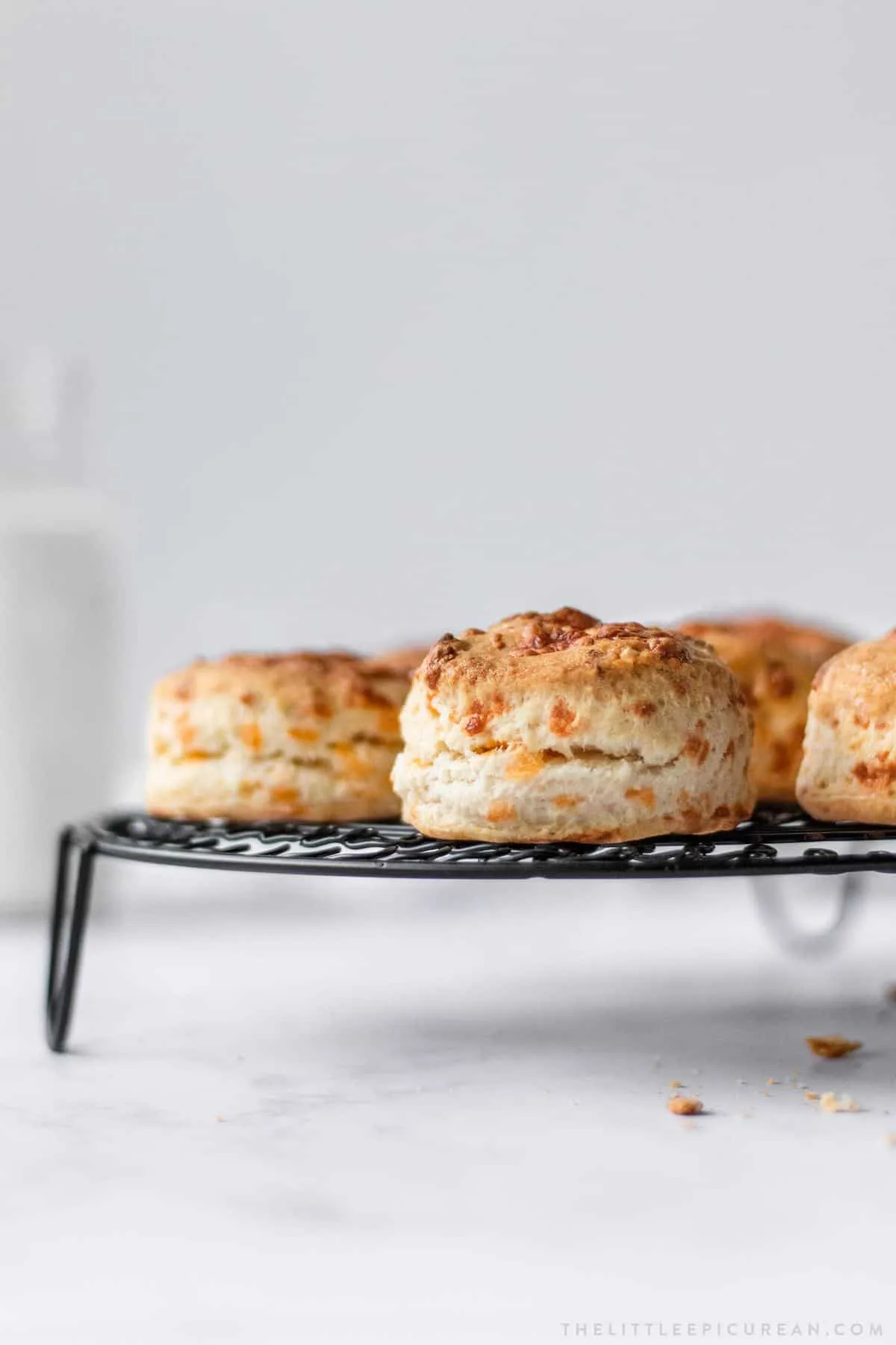 Cheddar Cheese Cream Biscuits
