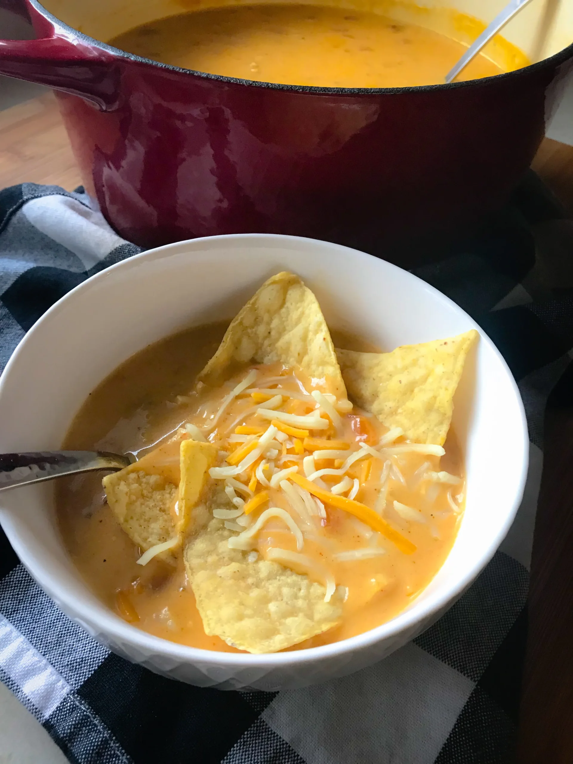 Cheesy Chicken Tortilla Soup