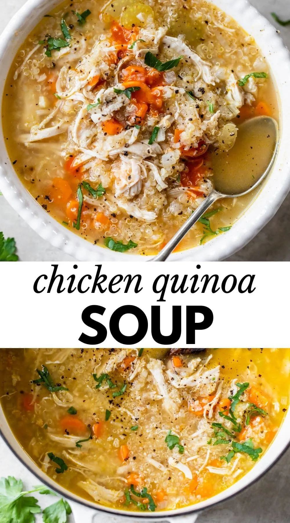 Chicken Vegetable and Quinoa Soup