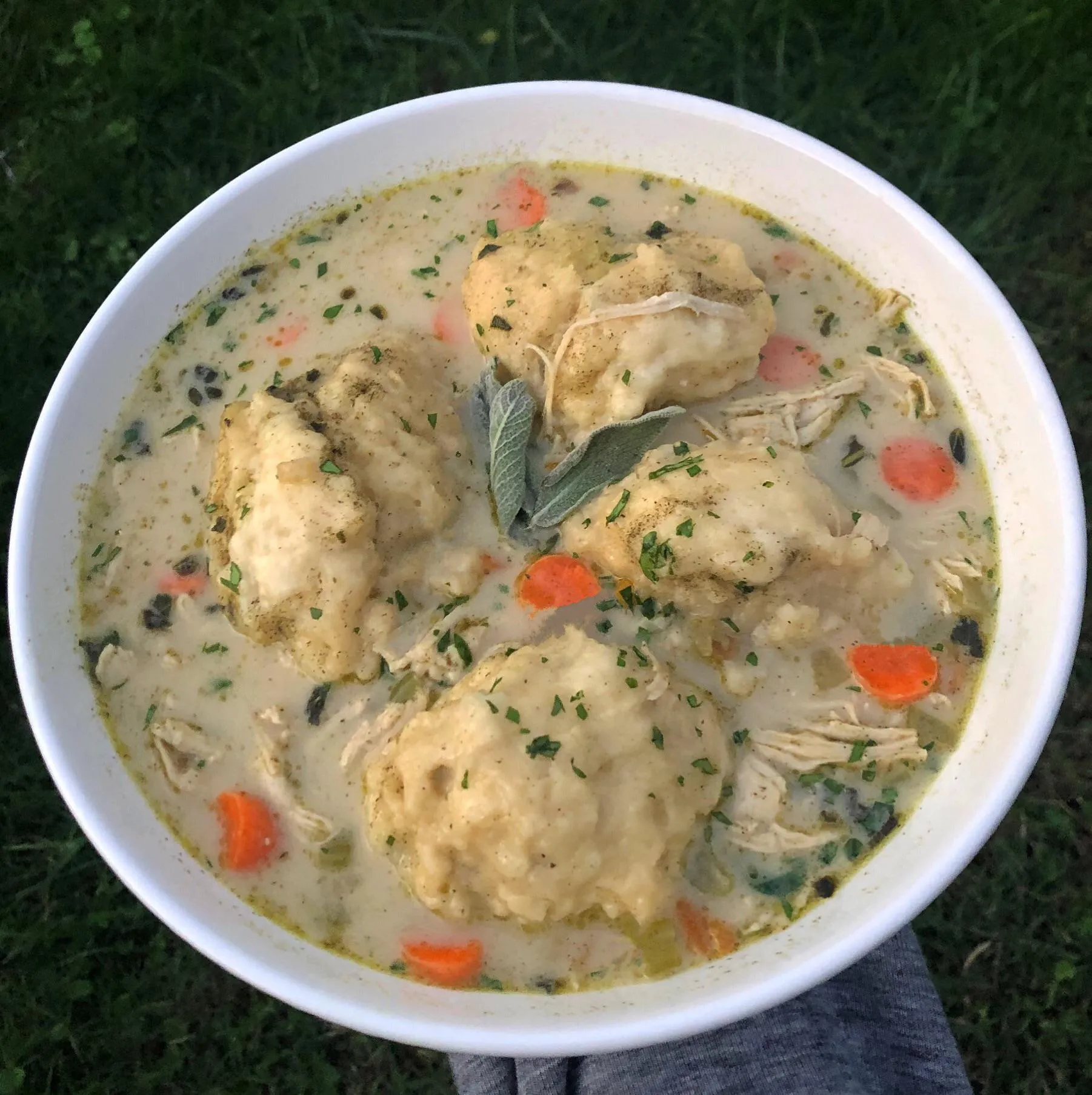 Chicken and Parmesan Sage Dumplings