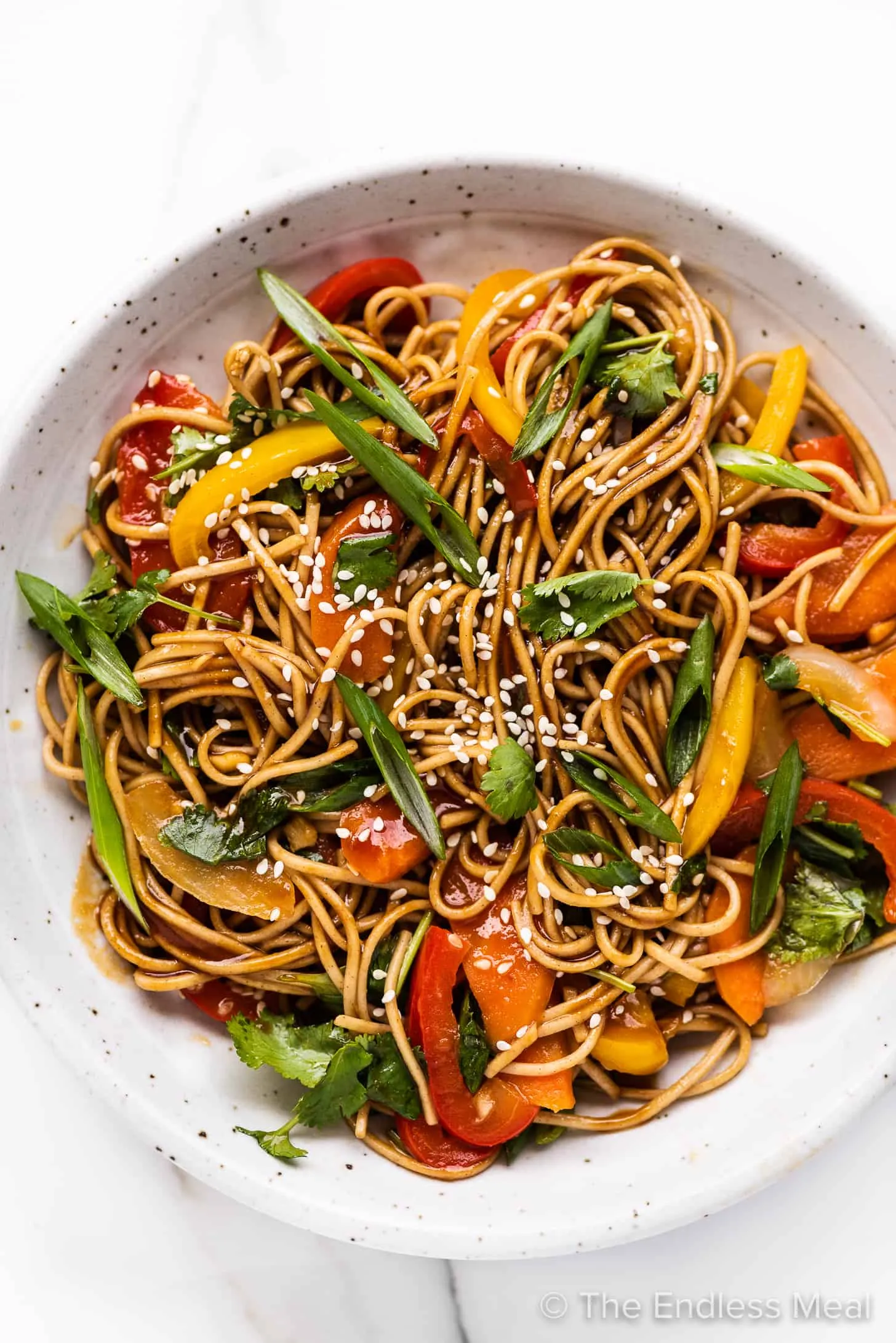 Chinese Noodles in Ginger Garlic Sauce