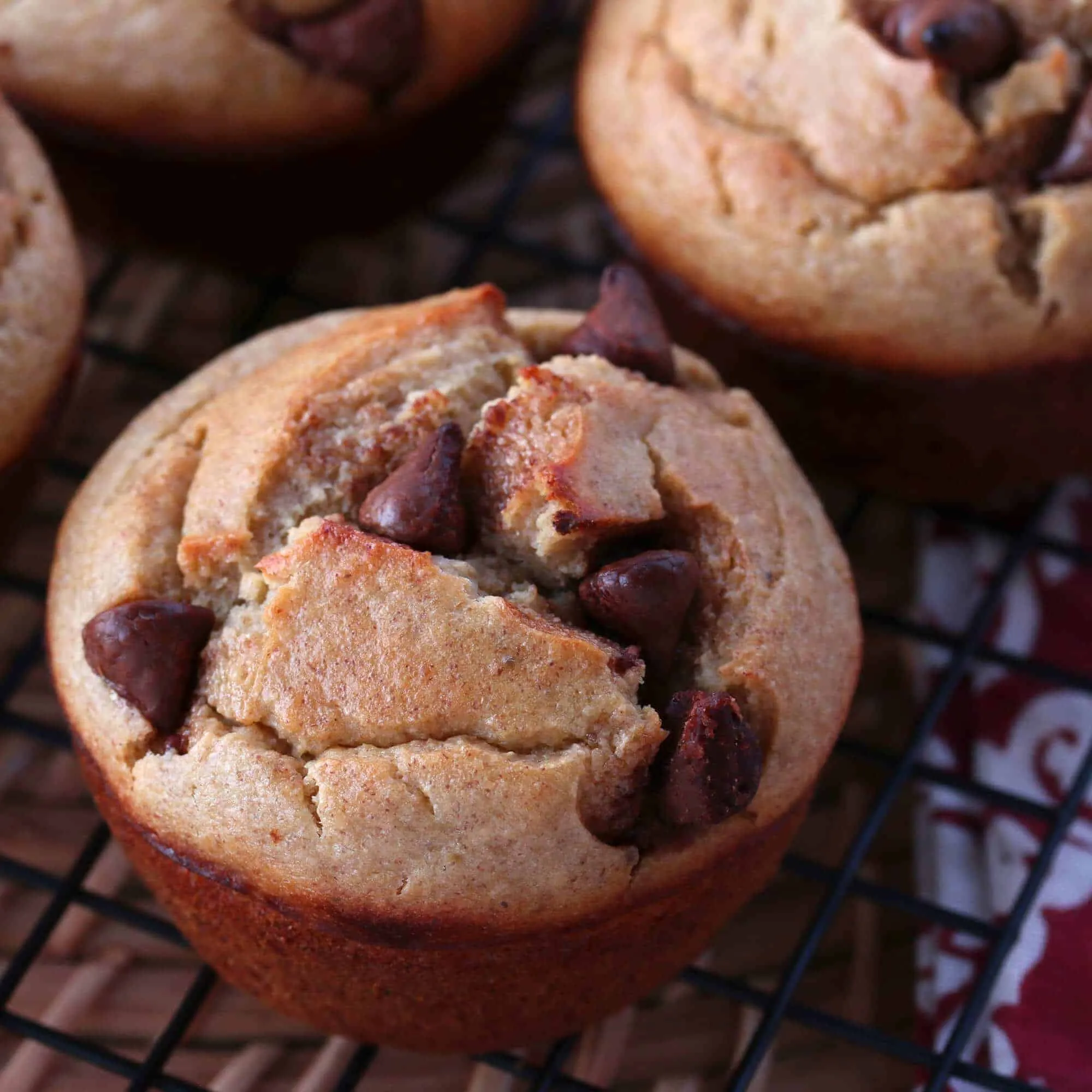 Chocolate Banana Oatmeal Blender Muffins