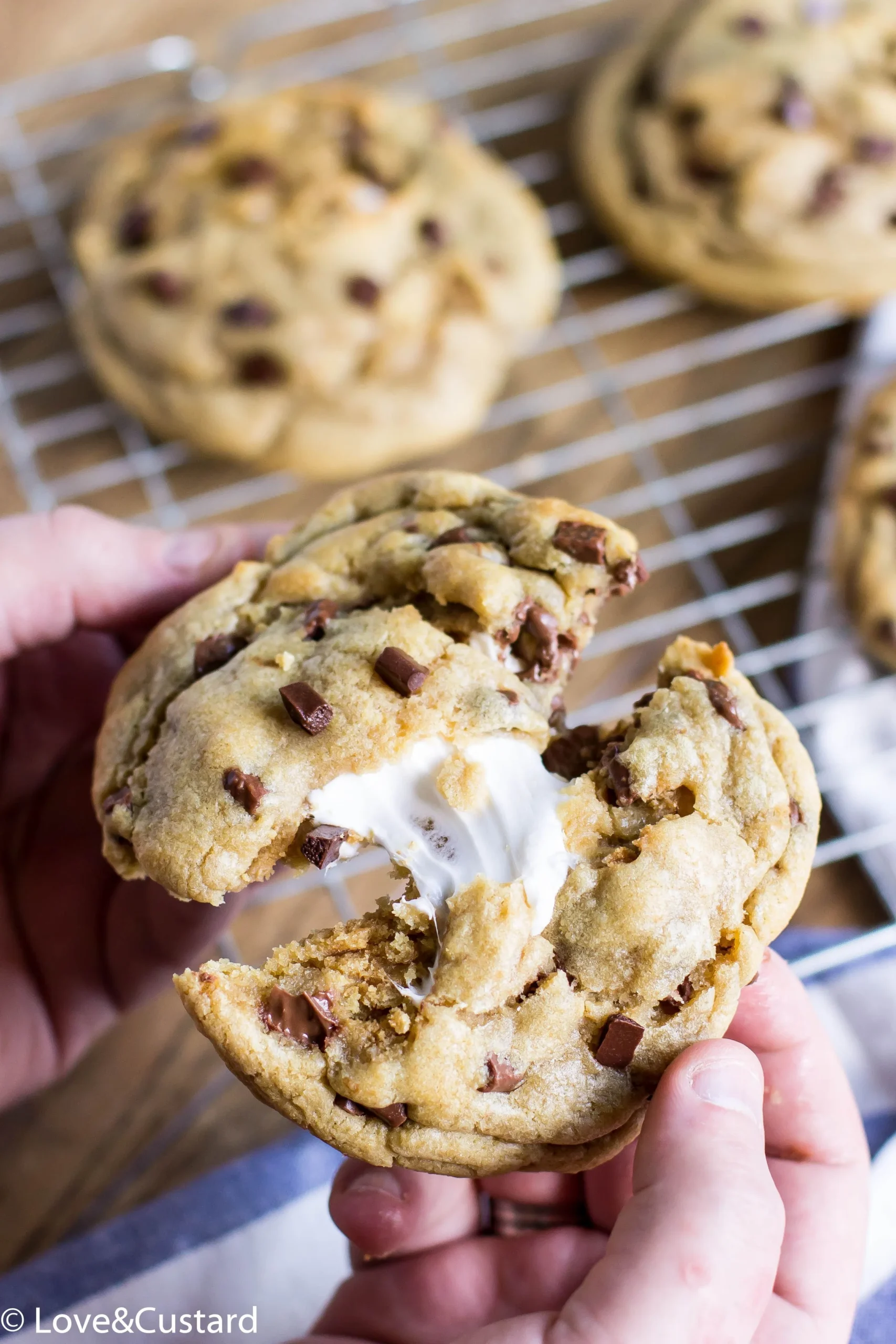 Chocolate Chip Biscuit S'mores