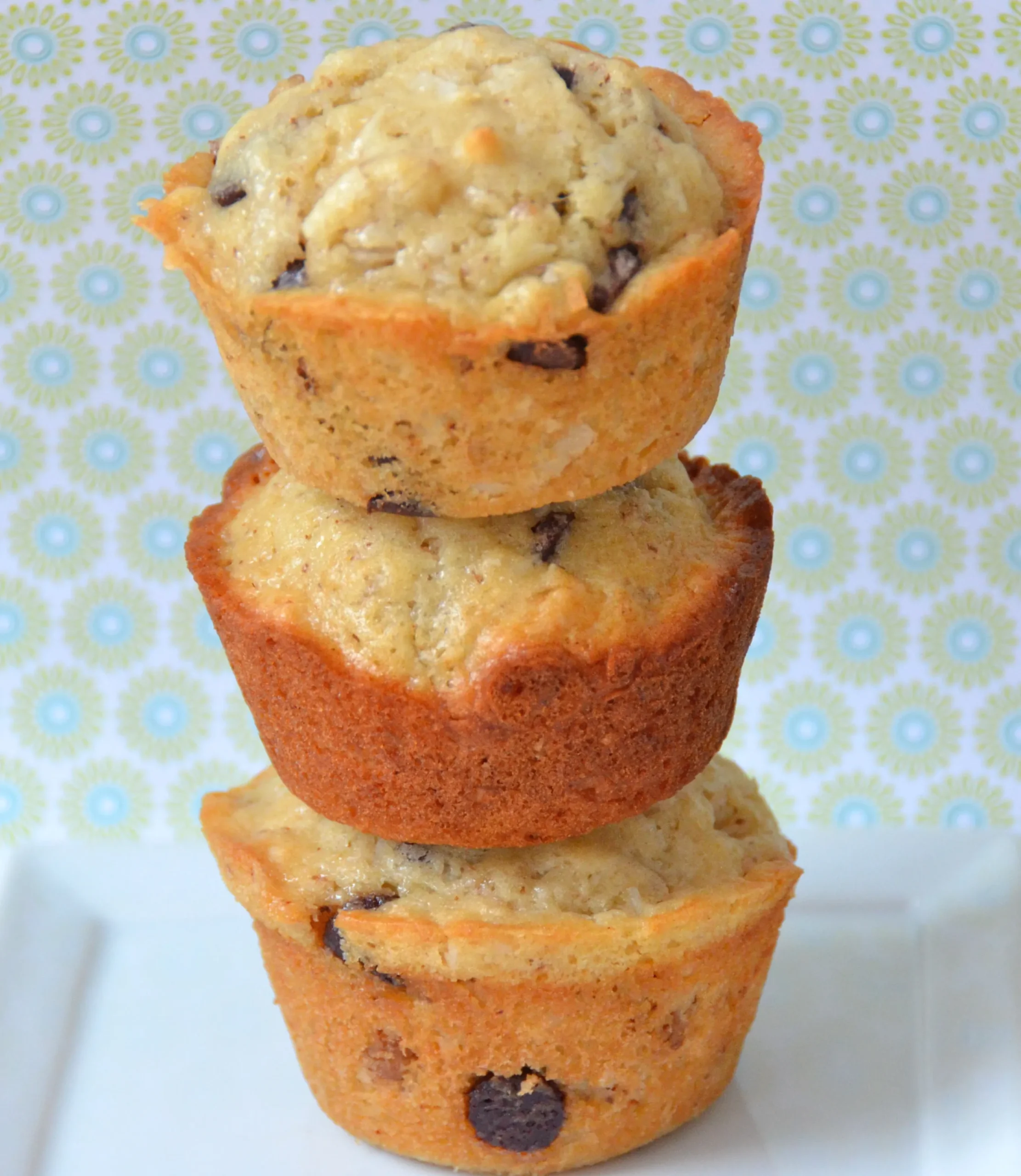 Chocolate Chip Coconut Muffins