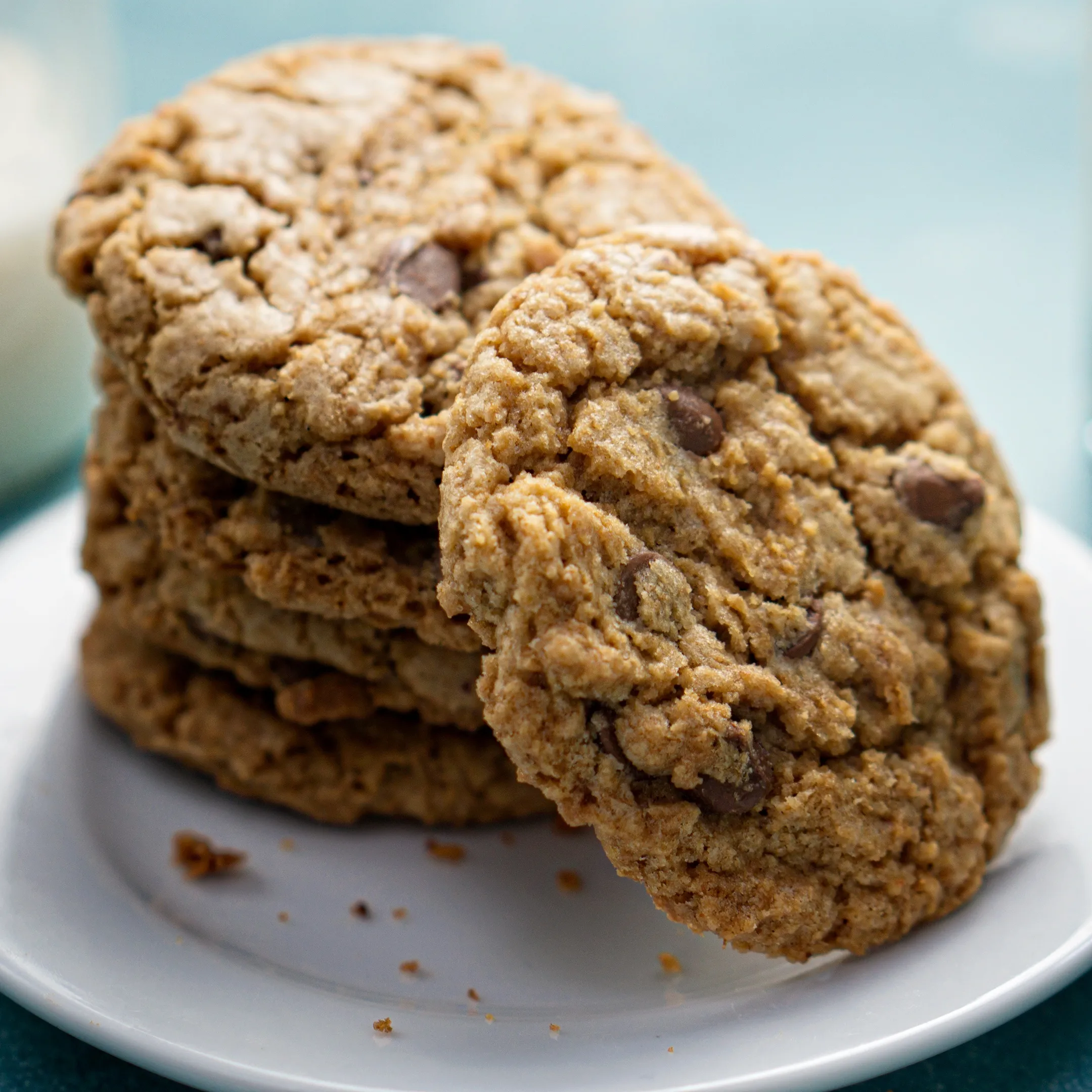 Chocolate Chip Graham Cookies