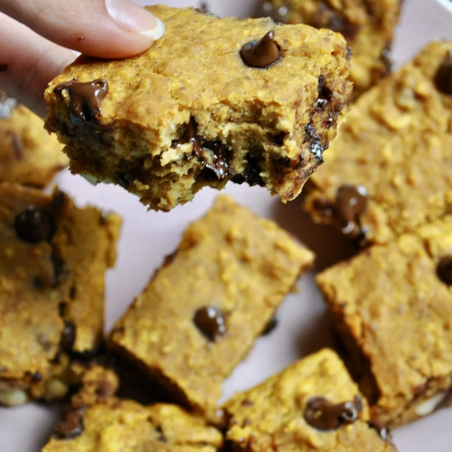 Chocolate Chip Vegan Pumpkin Blondies