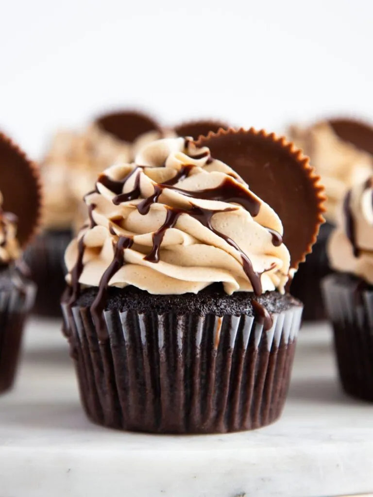 Chocolate Cupcakes with Peanut Butter Cookie Dough Frosting