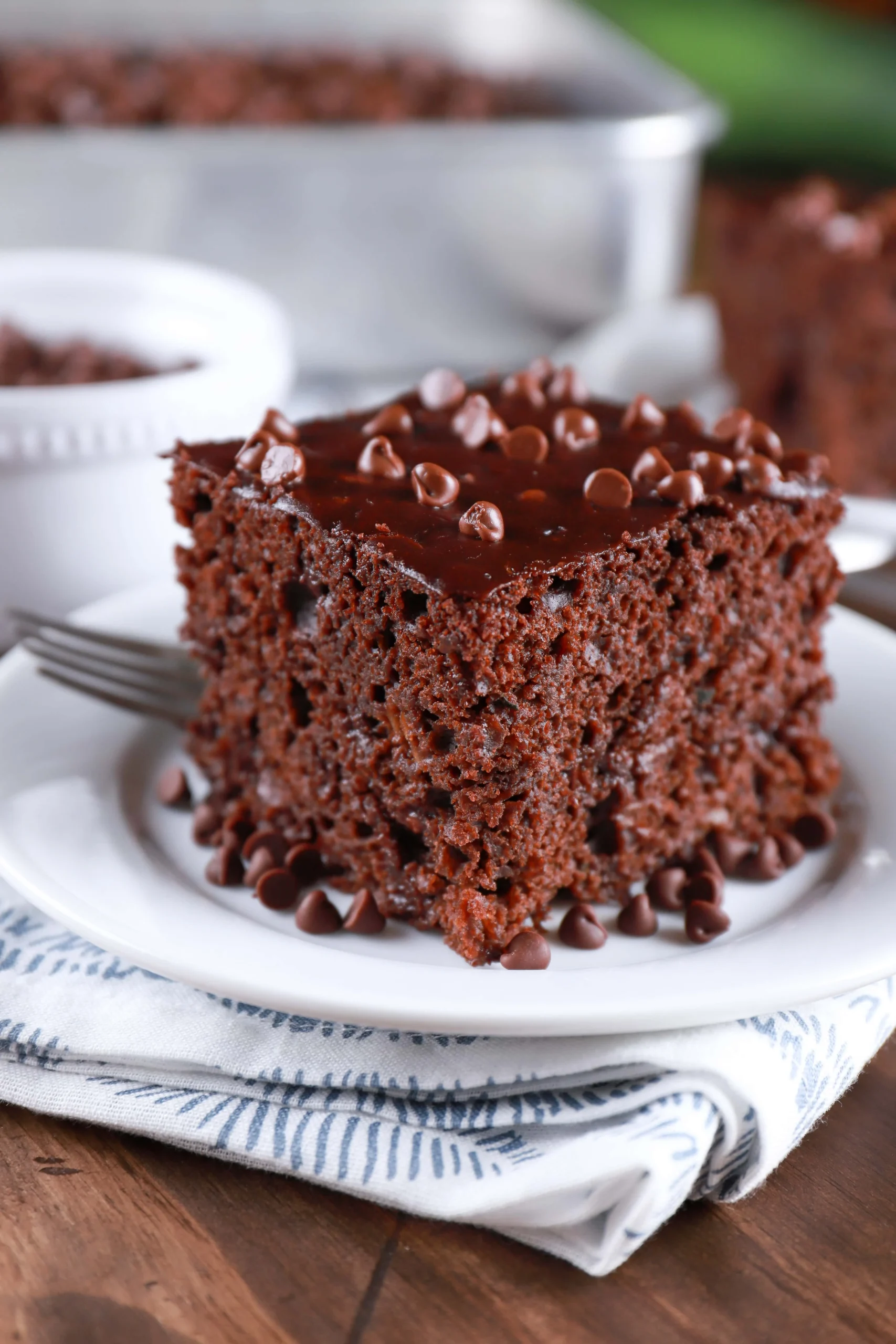 Chocolate Zucchini Cake