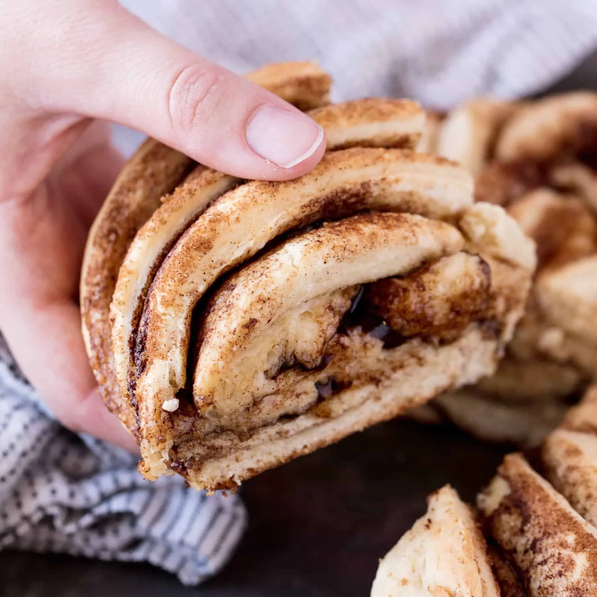 Cinnamon Roll Twist Bread