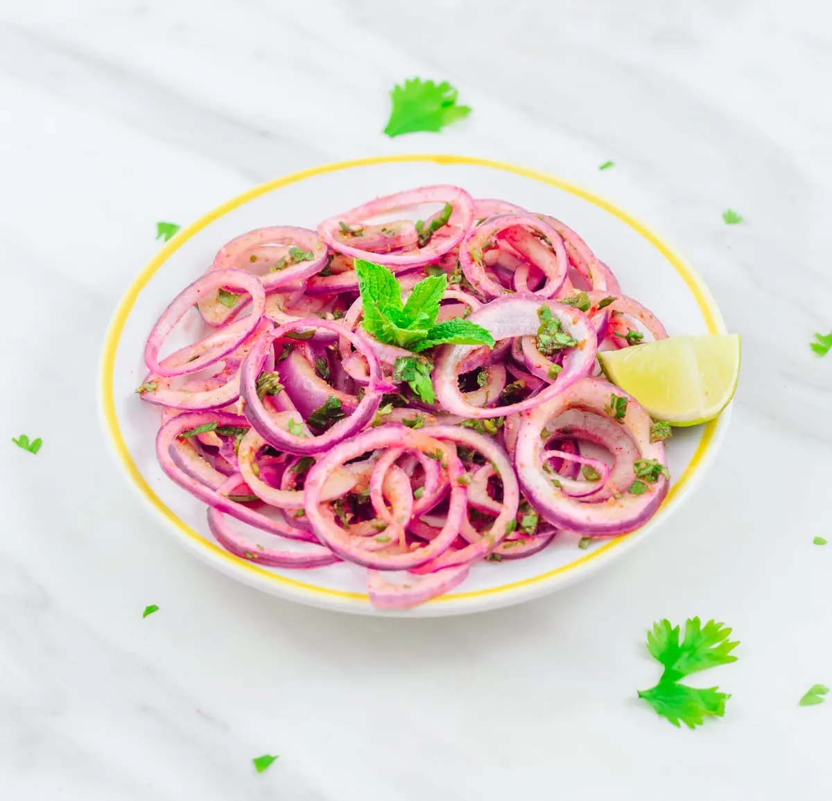 Citrus Marinated Onion Salad