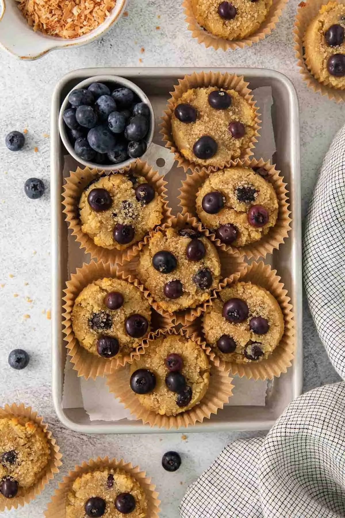 Coconut Flour Blueberry Protein Muffins Grain Free Paleo