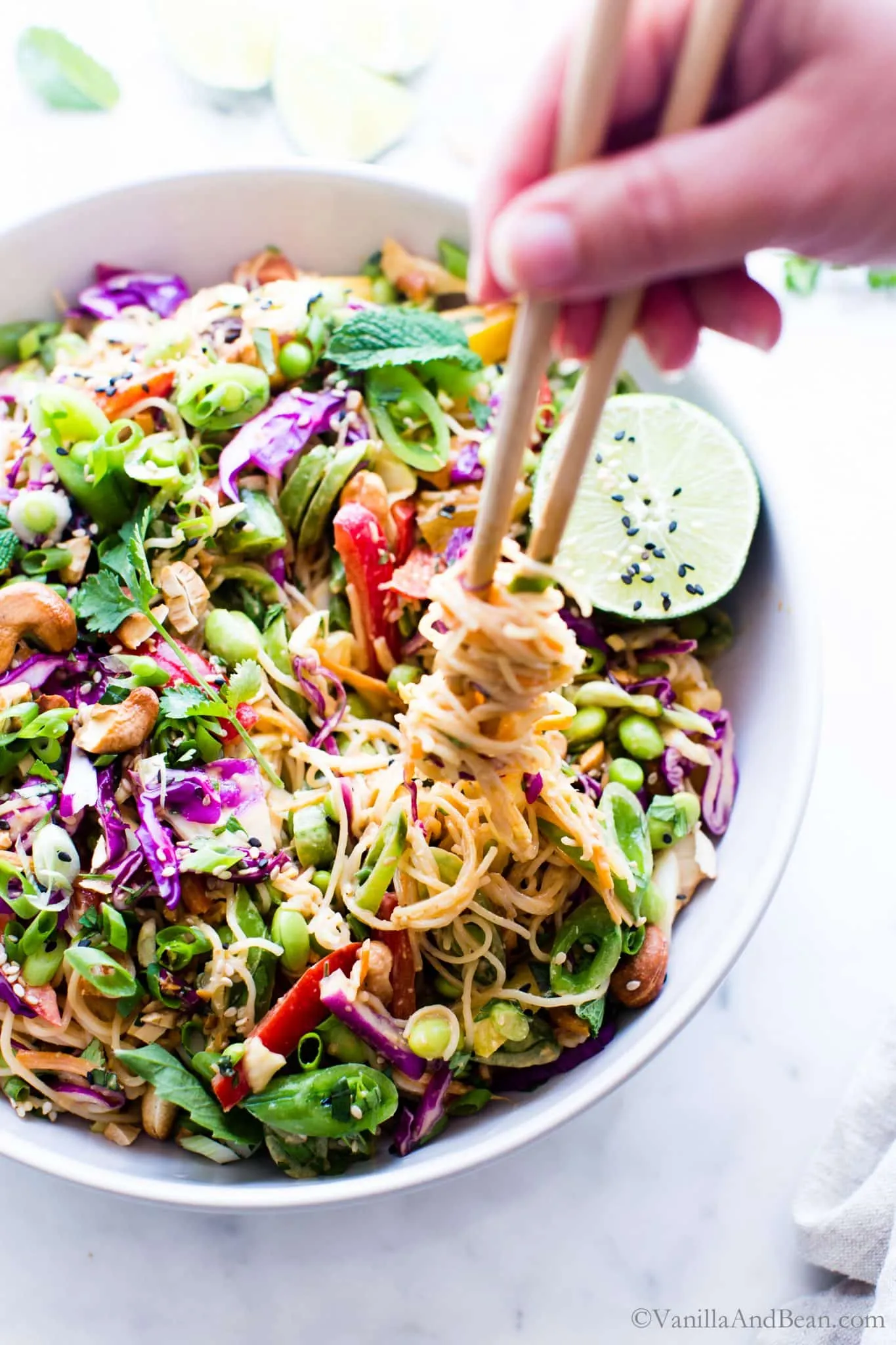 Cold Rice Noodle Salad with Peanut Lime Dressing