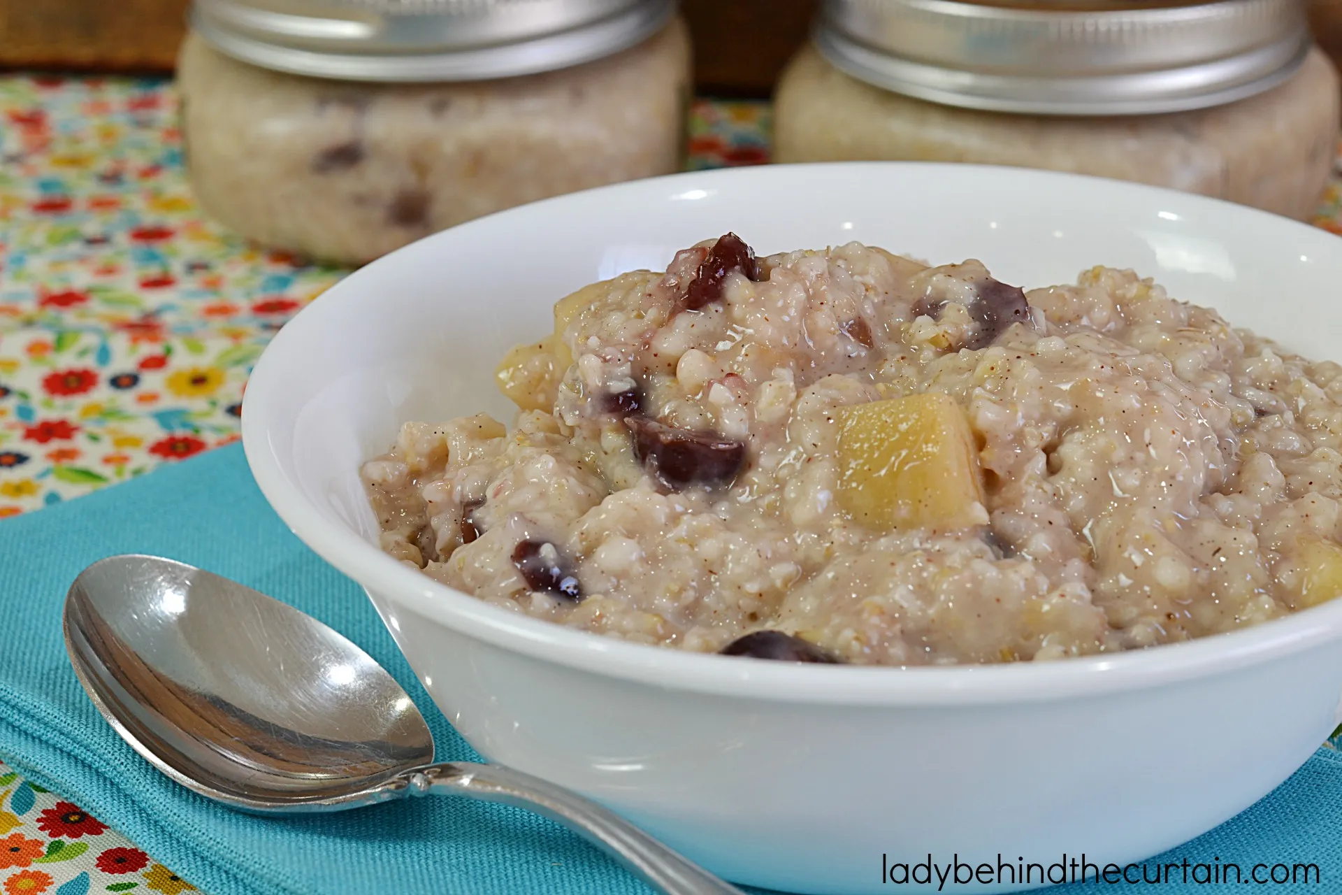 Cranberry Apple Slow Cooker Oatmeal