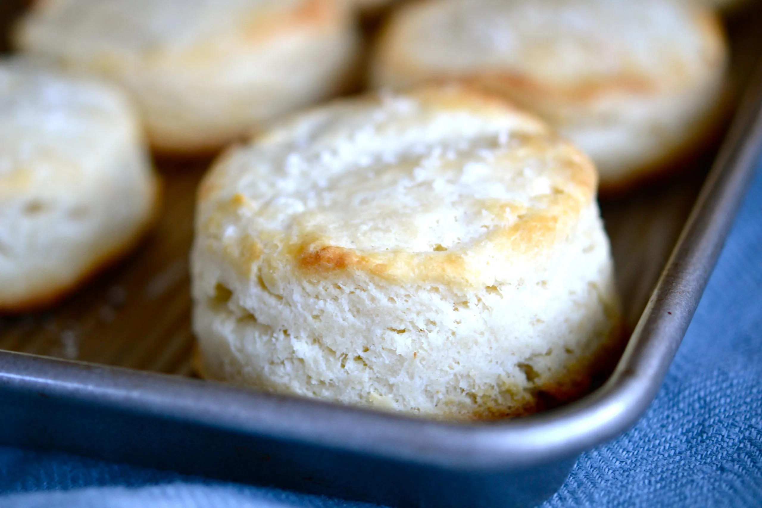 Cream Cheese Buttermilk Biscuits