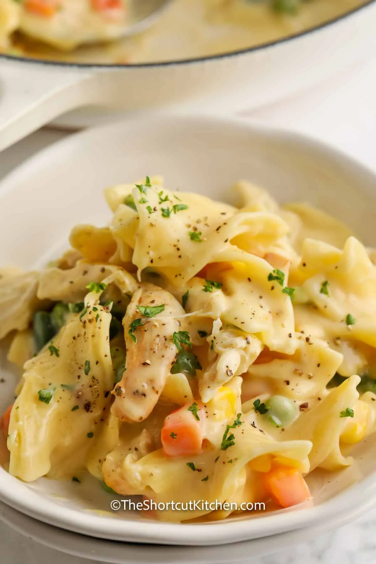 Creamy Chicken and Vegetables with Noodles