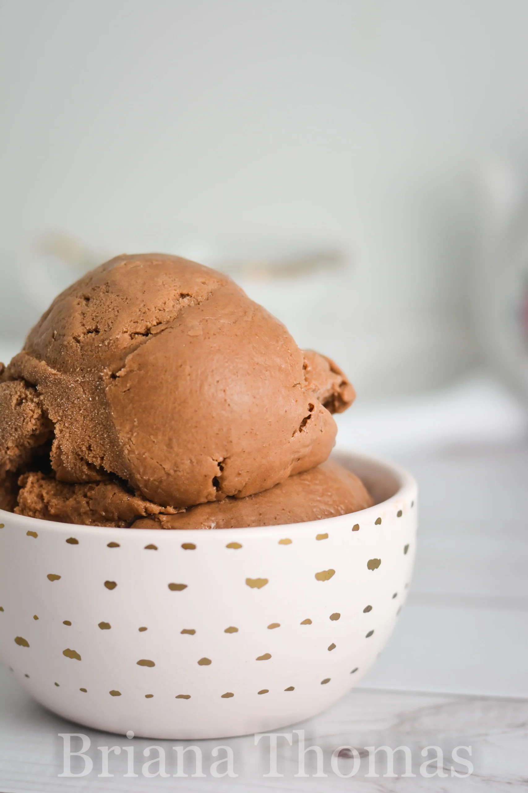Creamy Dairy Free Chocolate Ice Cream