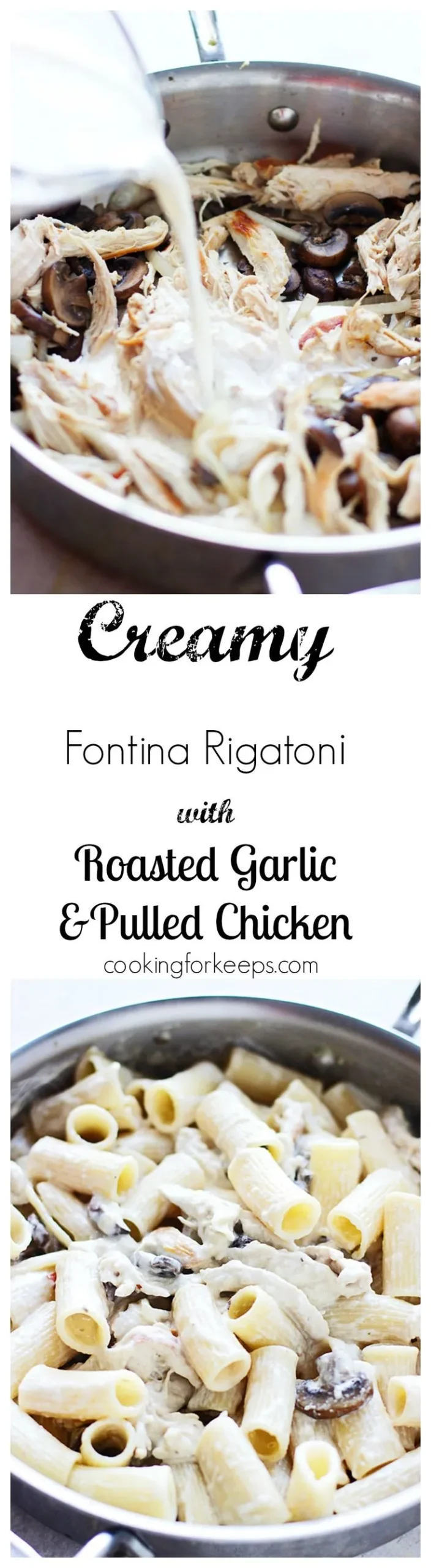 Creamy Fontina Rigatoni Roasted Garlic Portabellos Pulled Chicken