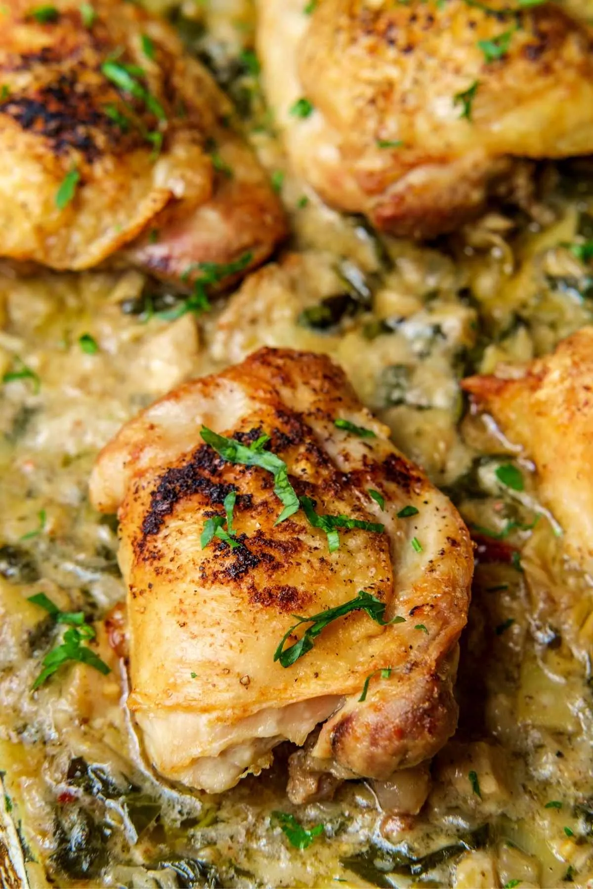 Creamy Garlic Swiss Chard Chicken