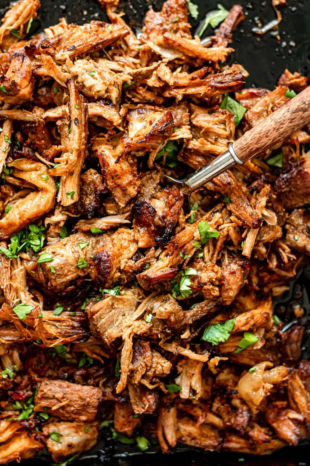 Crispy Boozy Pork Carnitas