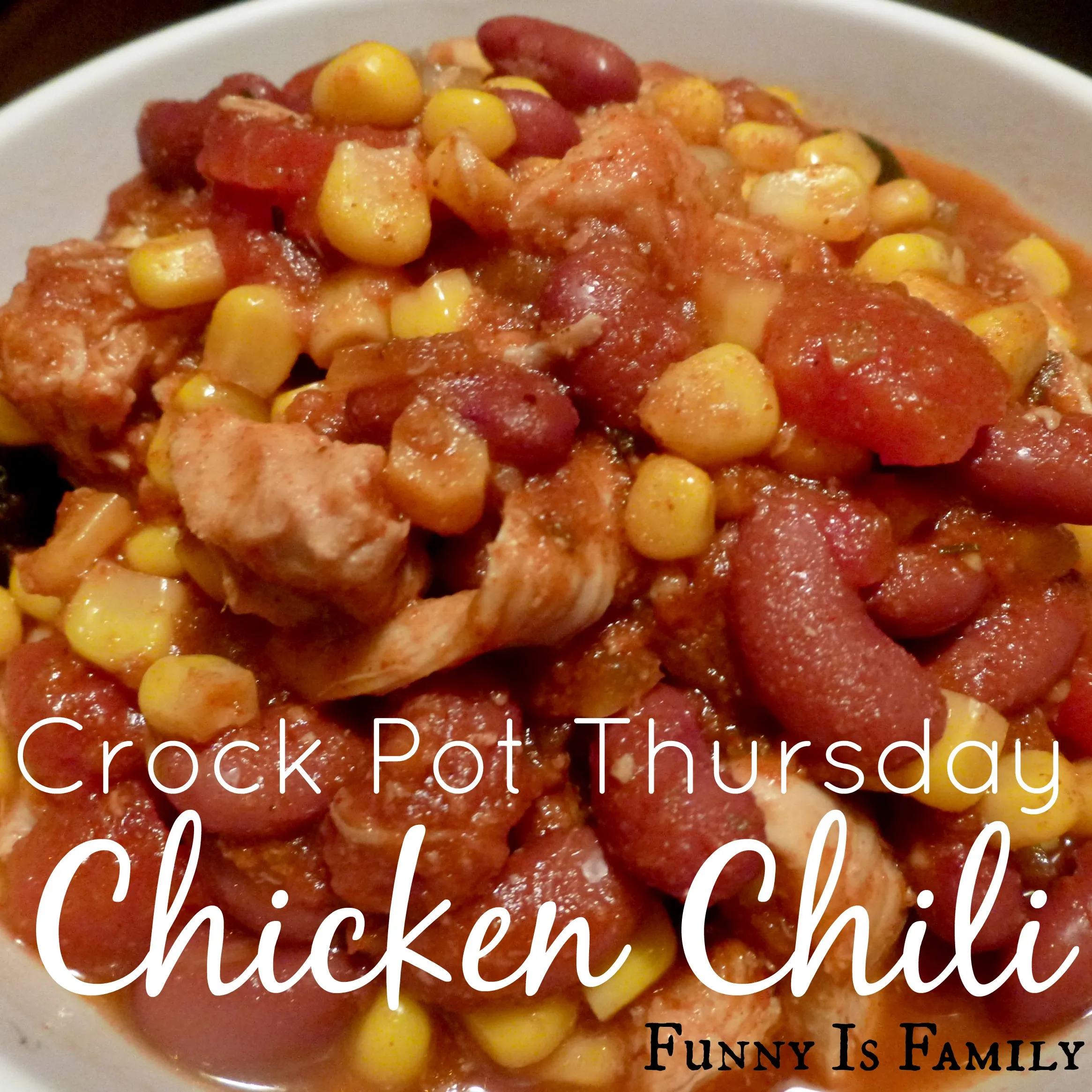 Crock Pot Chicken Chili Stew