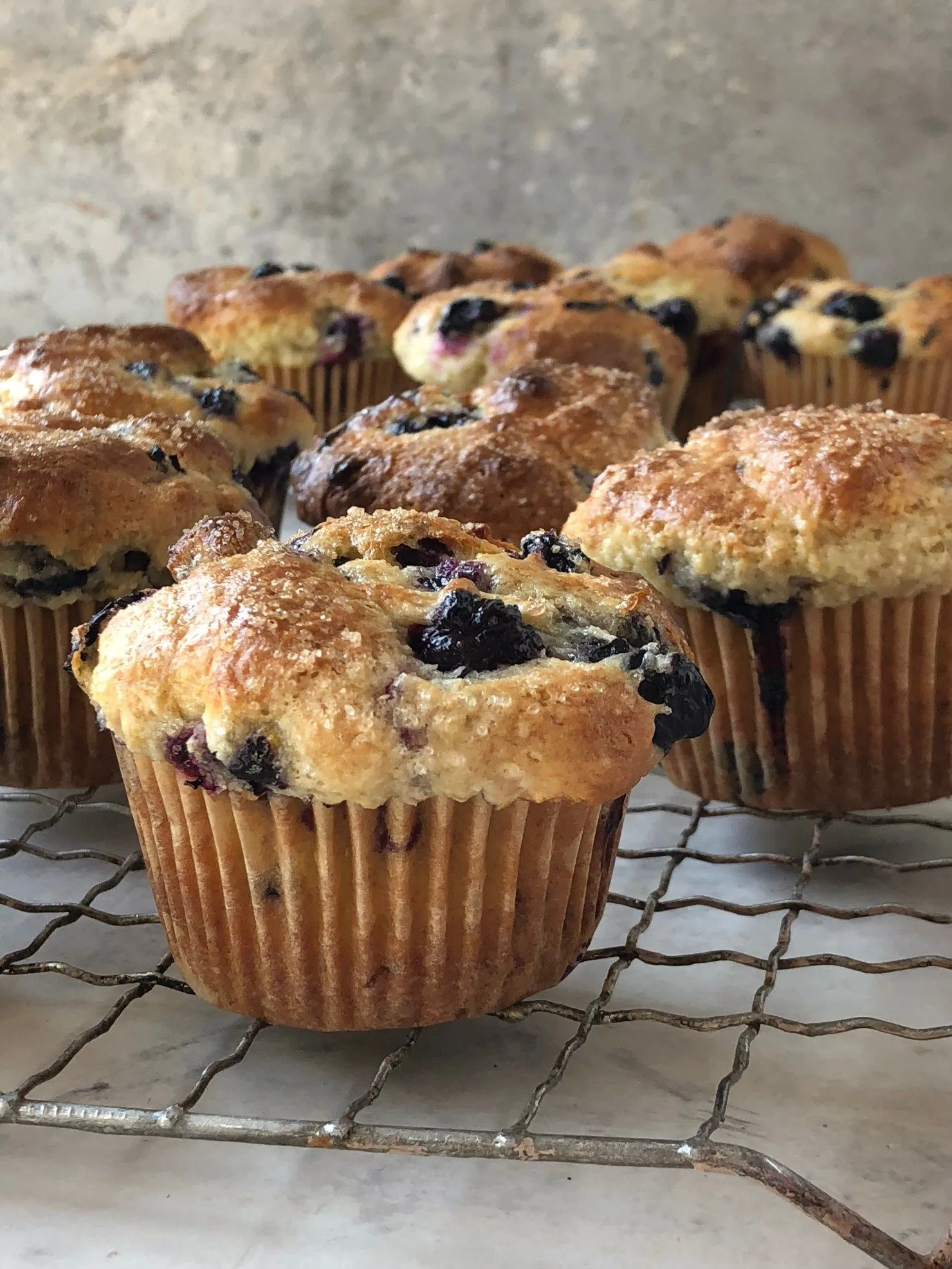 Dairy Free Blueberry Muffins with Olive Oil