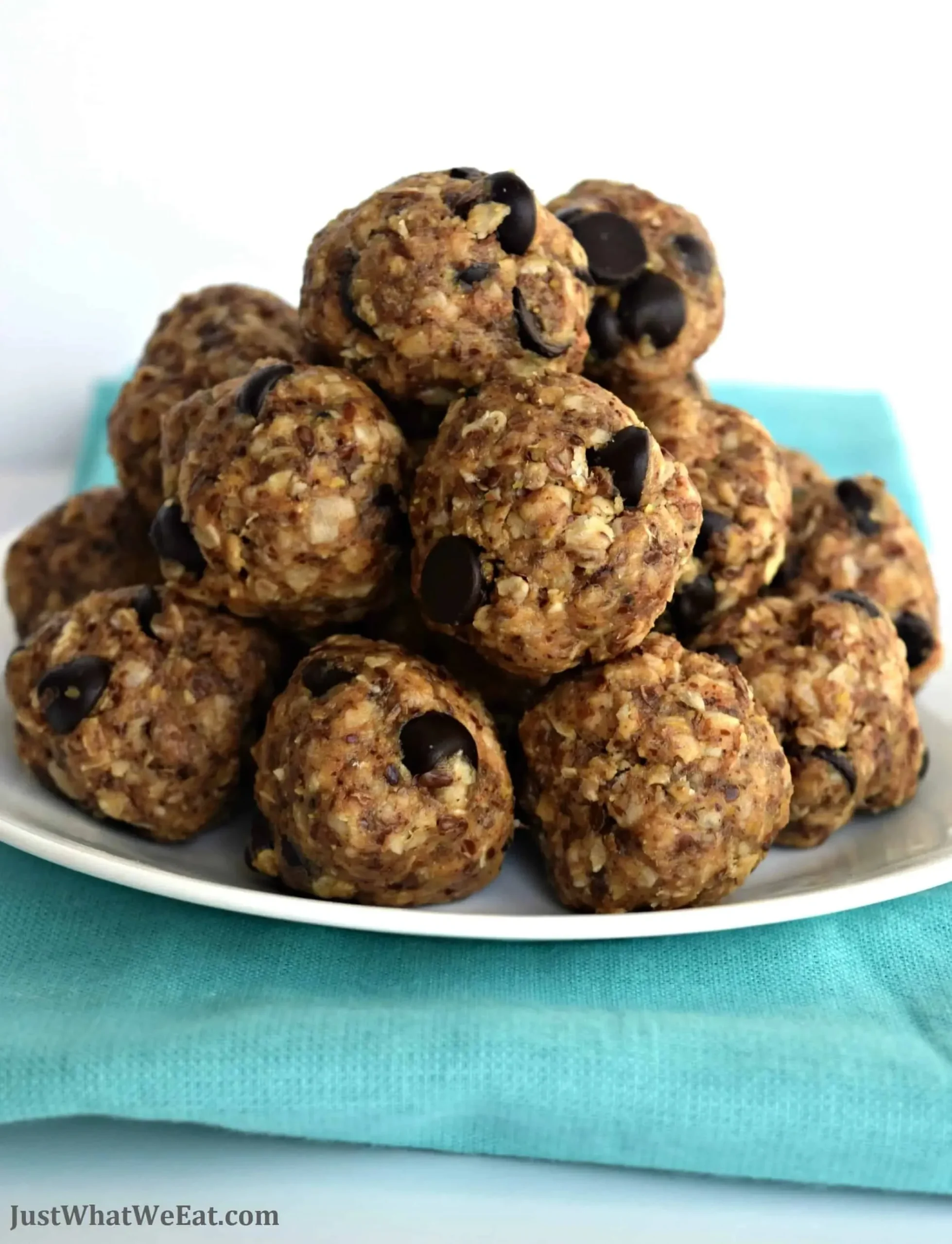 Date Oat Lactation Energy Bites Vegan