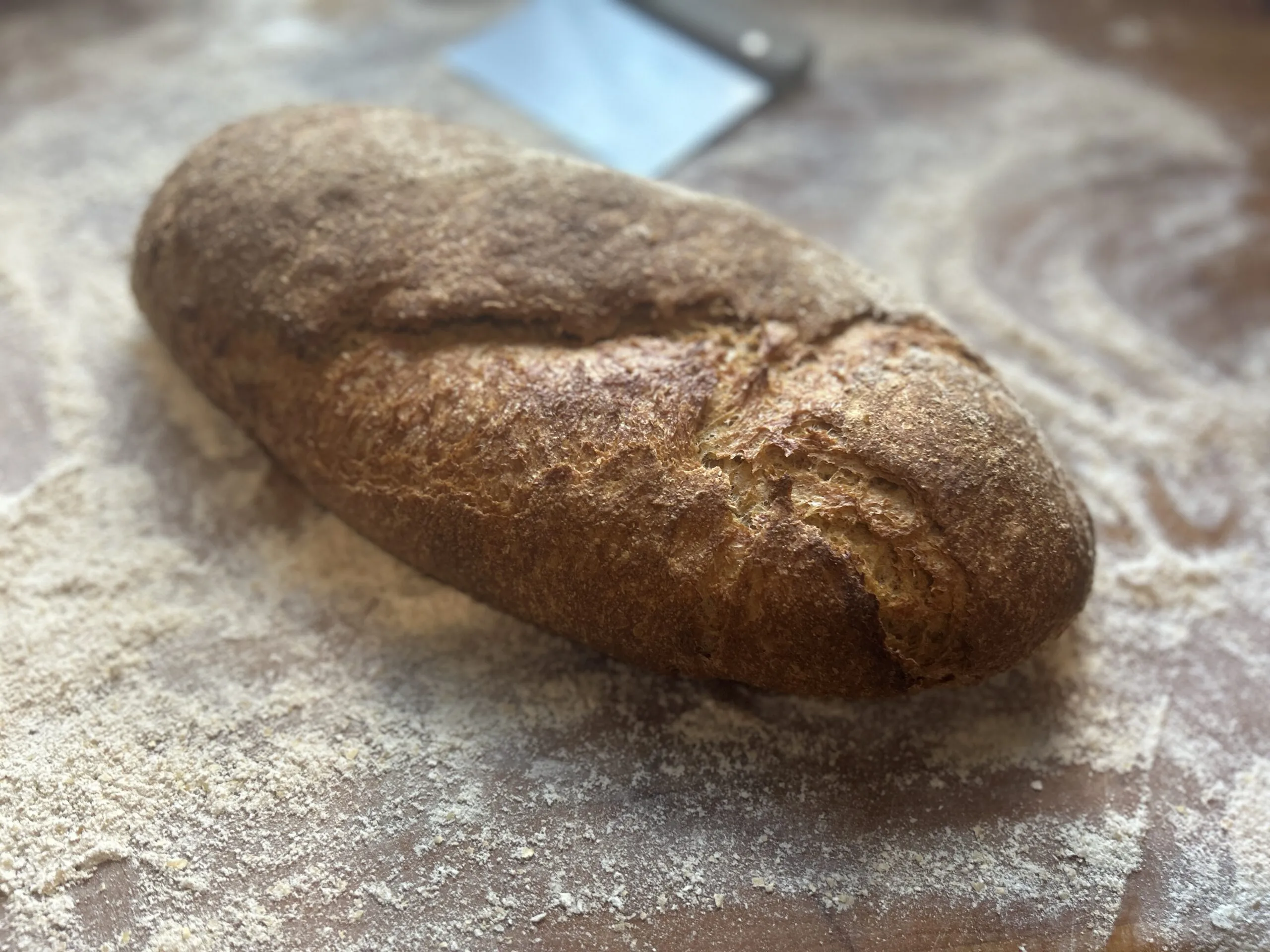 Deborah's Whole Wheat Italian Bread