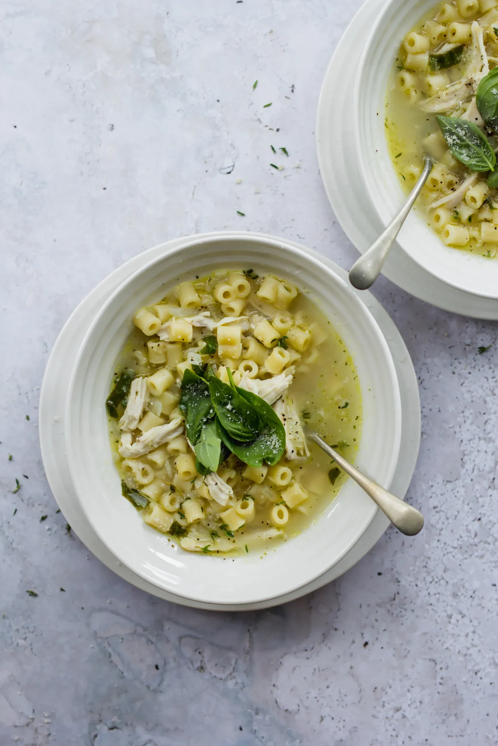 Deb's Healthy Lemon Herb Chicken Soup